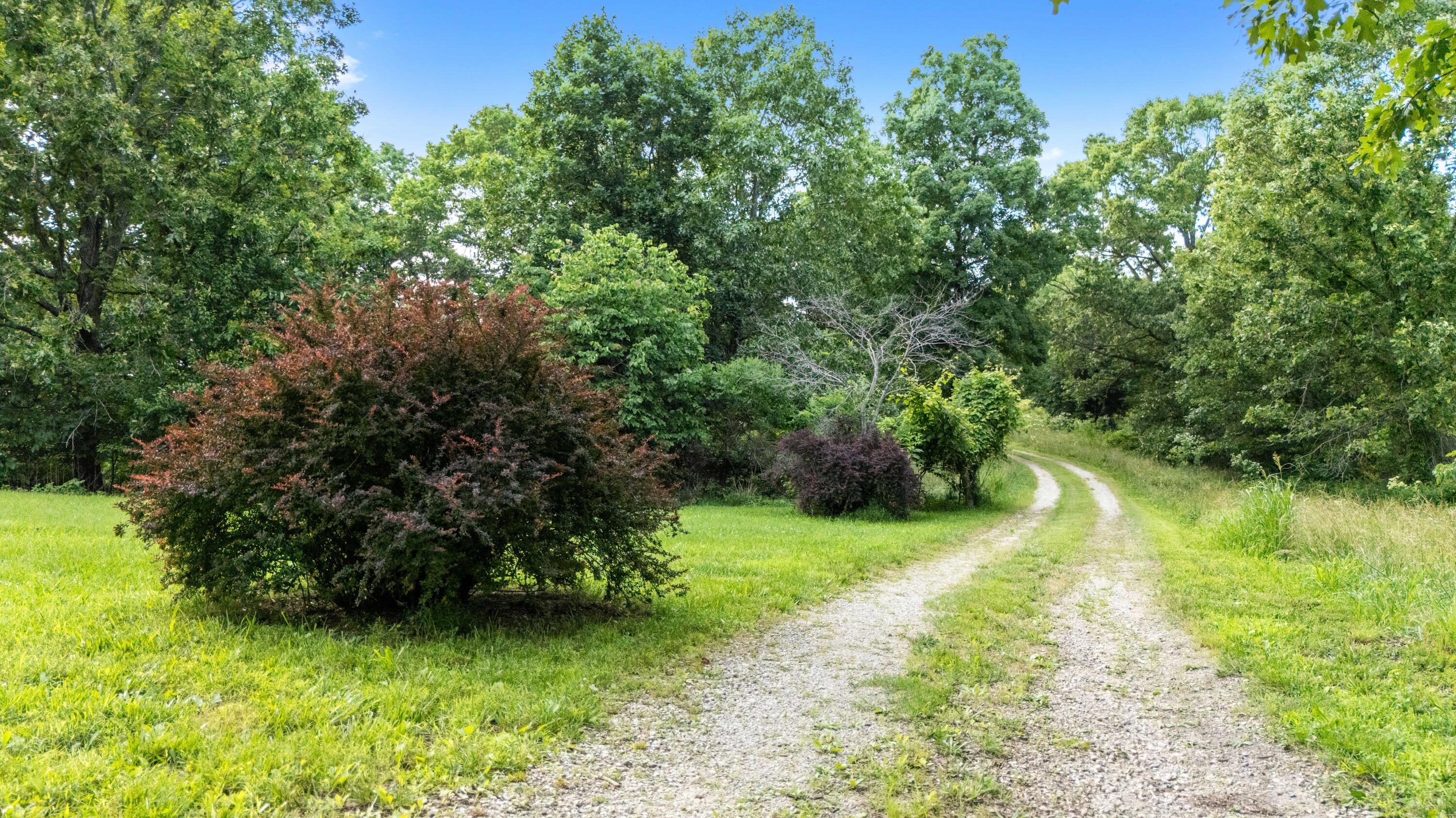 8244 County Road 8040 Property Photo 81