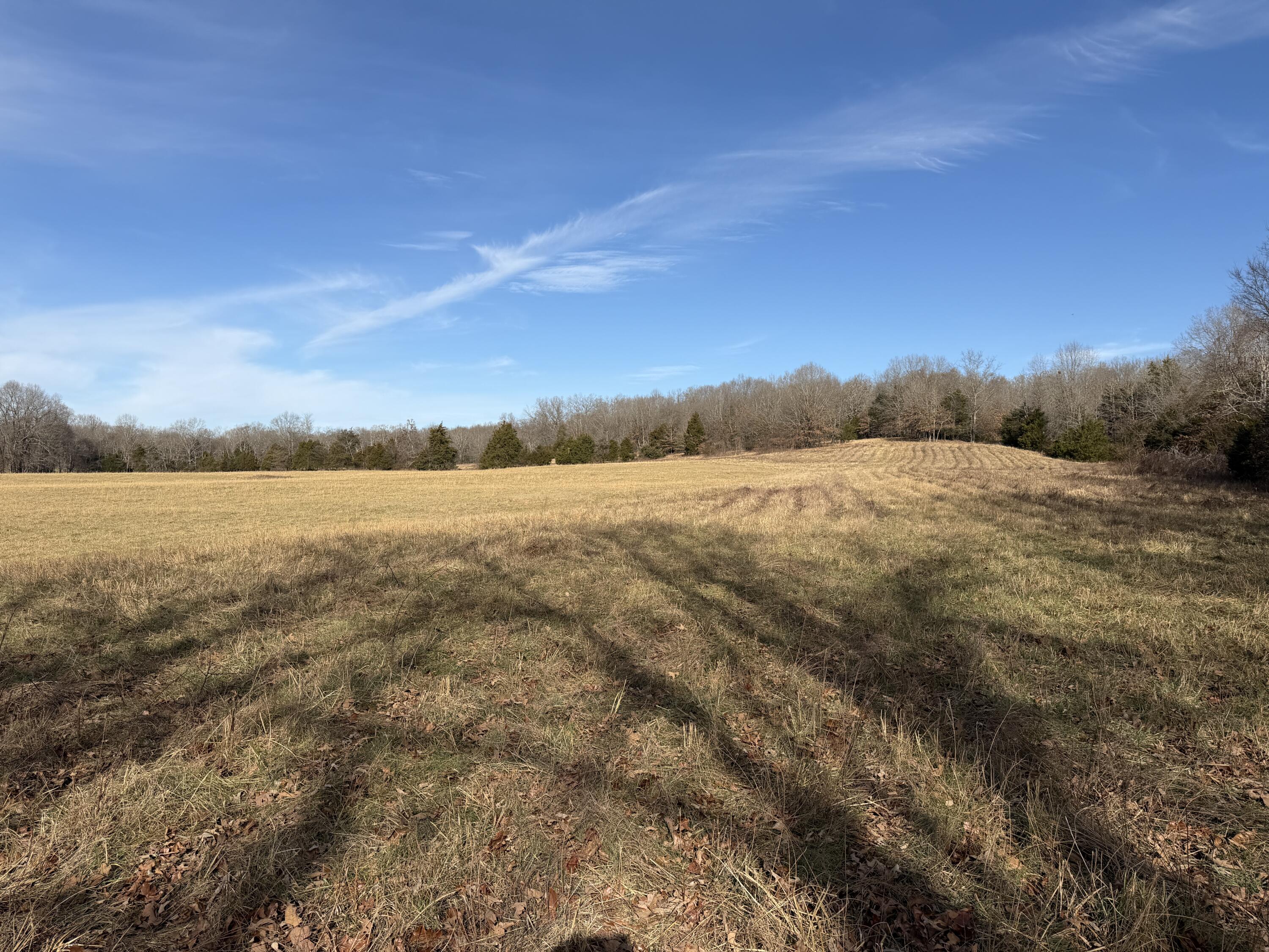 000 County Rd 328