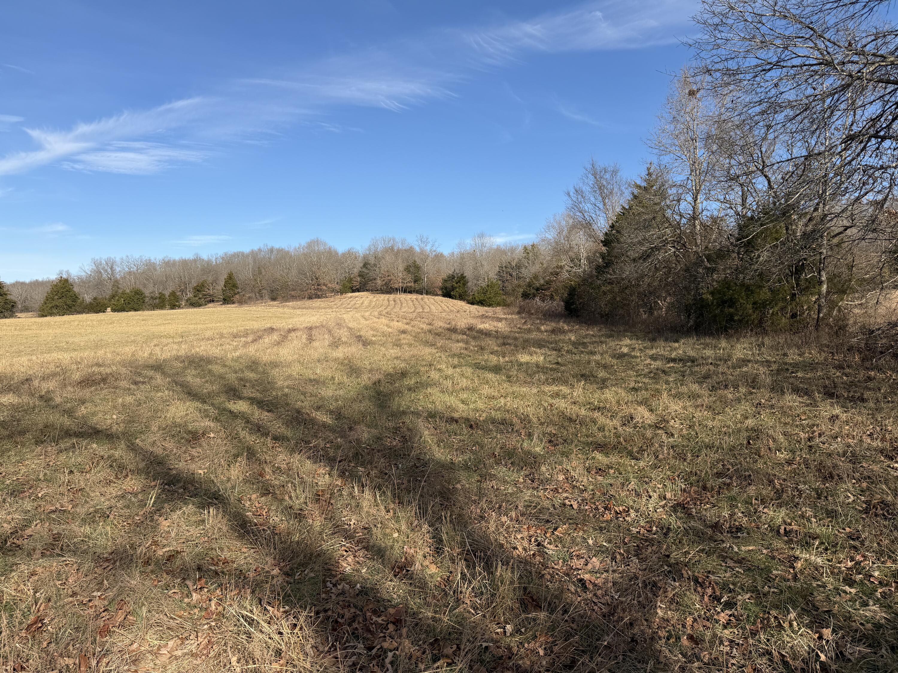 000 County Rd 328 Property Photo 2