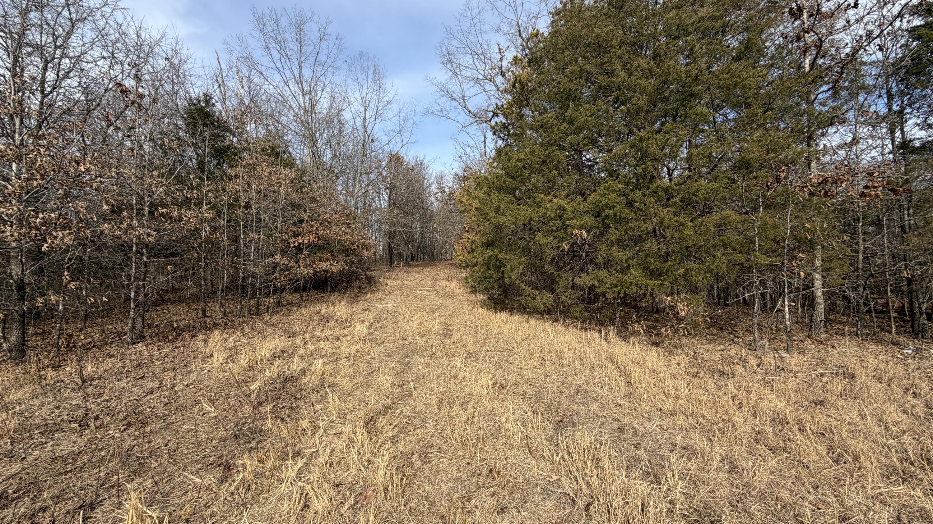 000 County Rd 328 Property Photo 4