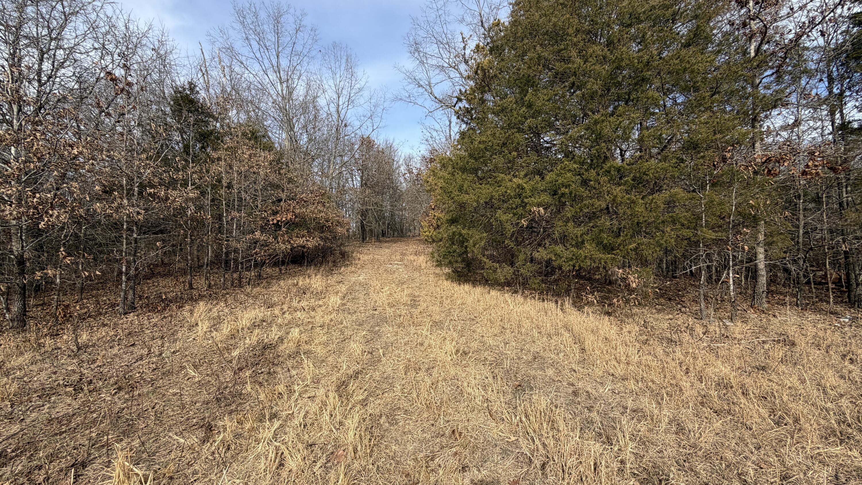 000 County Rd 328 Property Photo 5