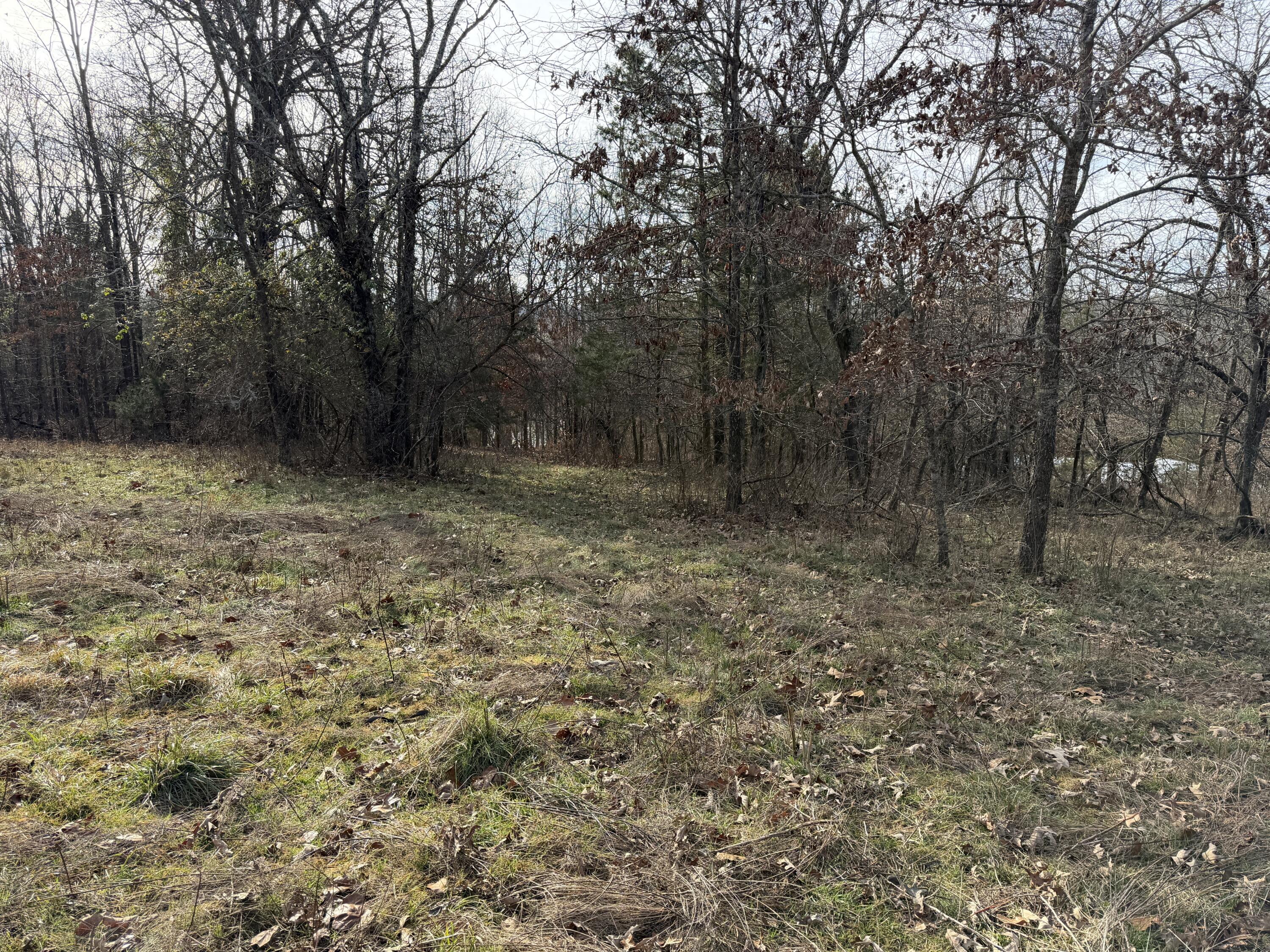 000 County Rd 328 Property Photo 8