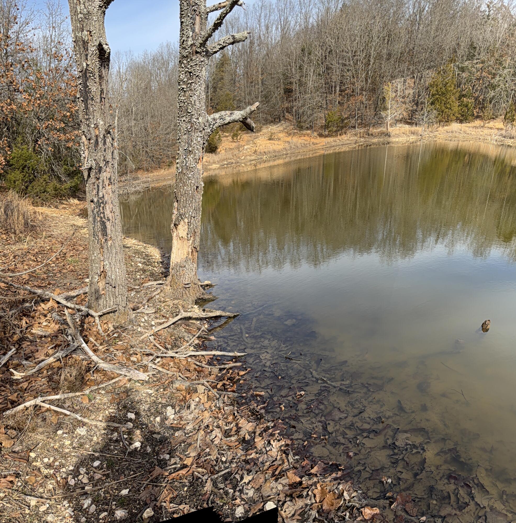 000 County Rd 328 Property Photo 11
