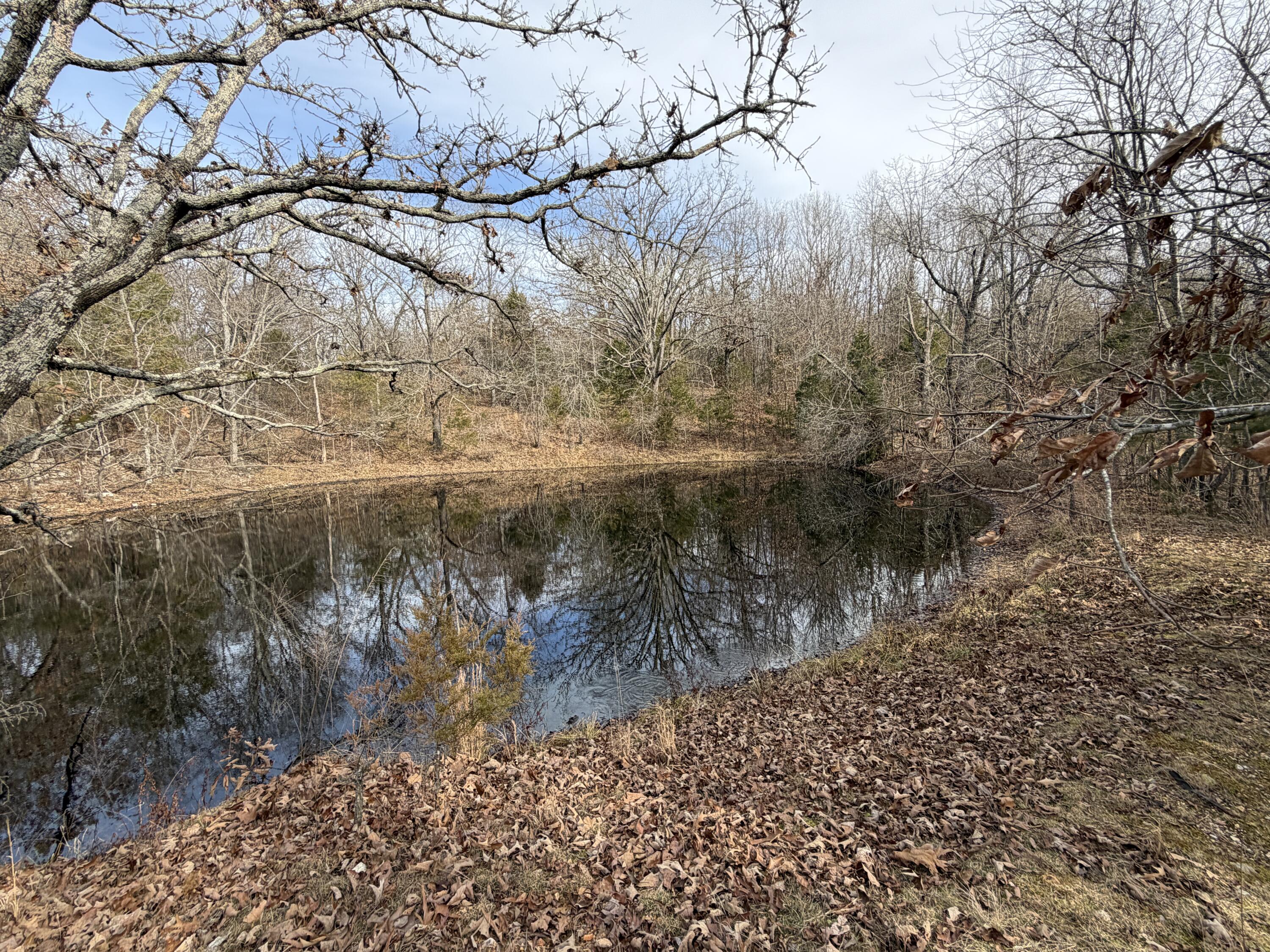 000 County Rd 328 Property Photo 12