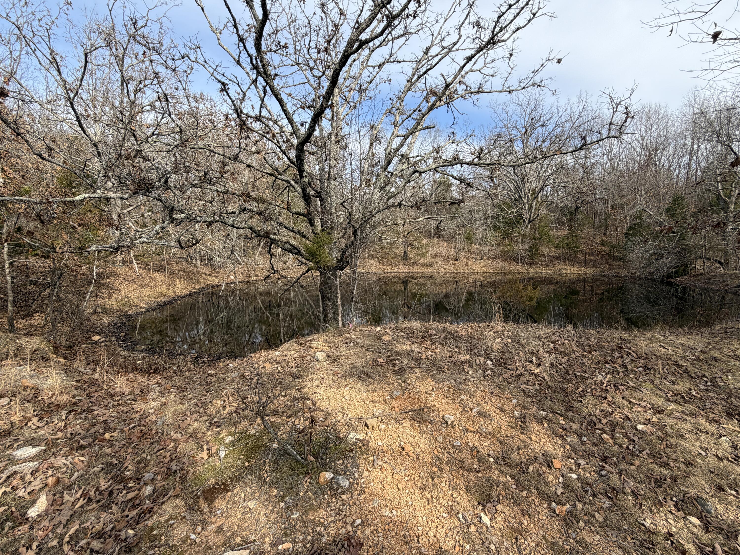 000 County Rd 328 Property Photo 16