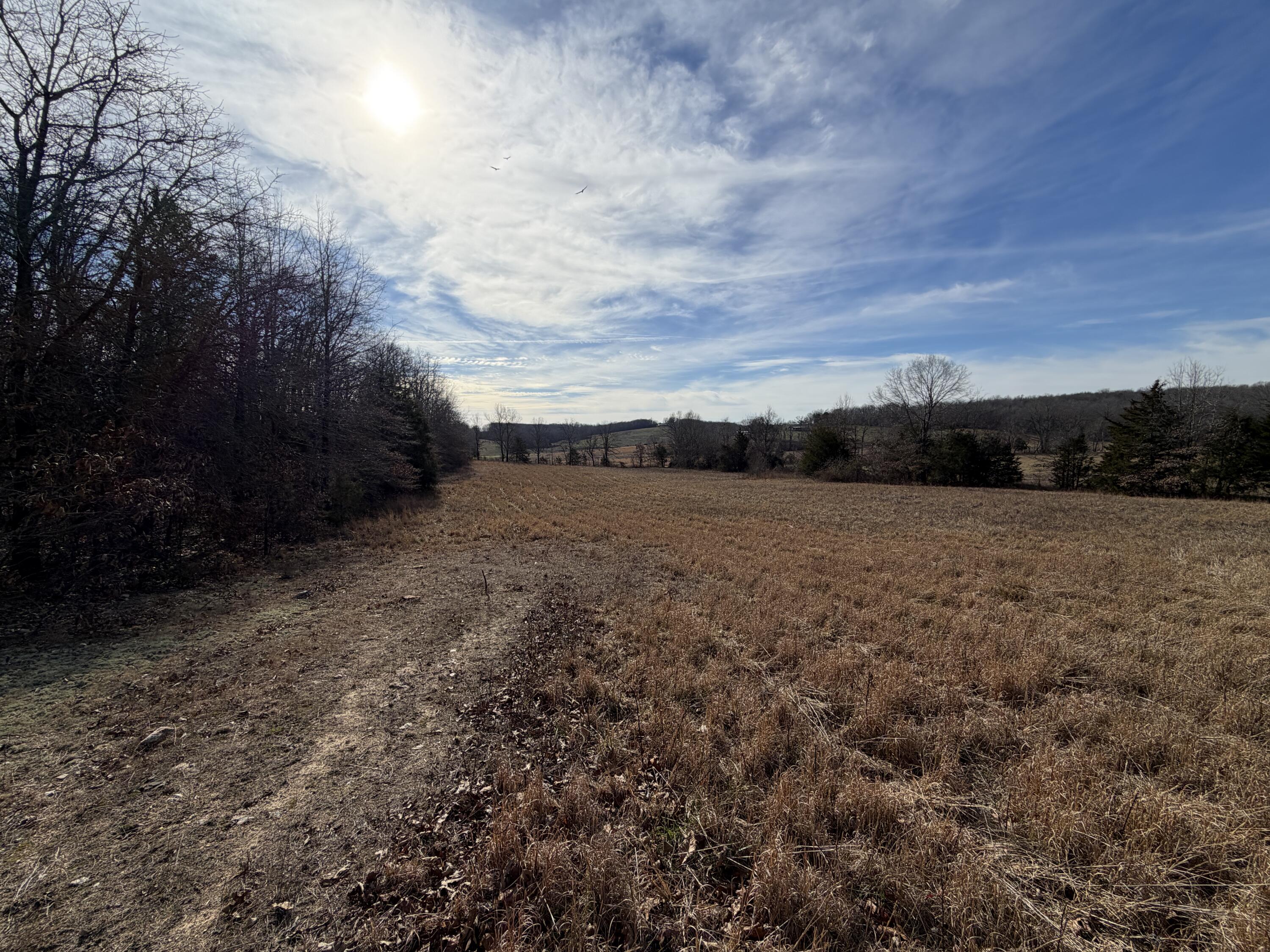 000 County Rd 328 Property Photo 18