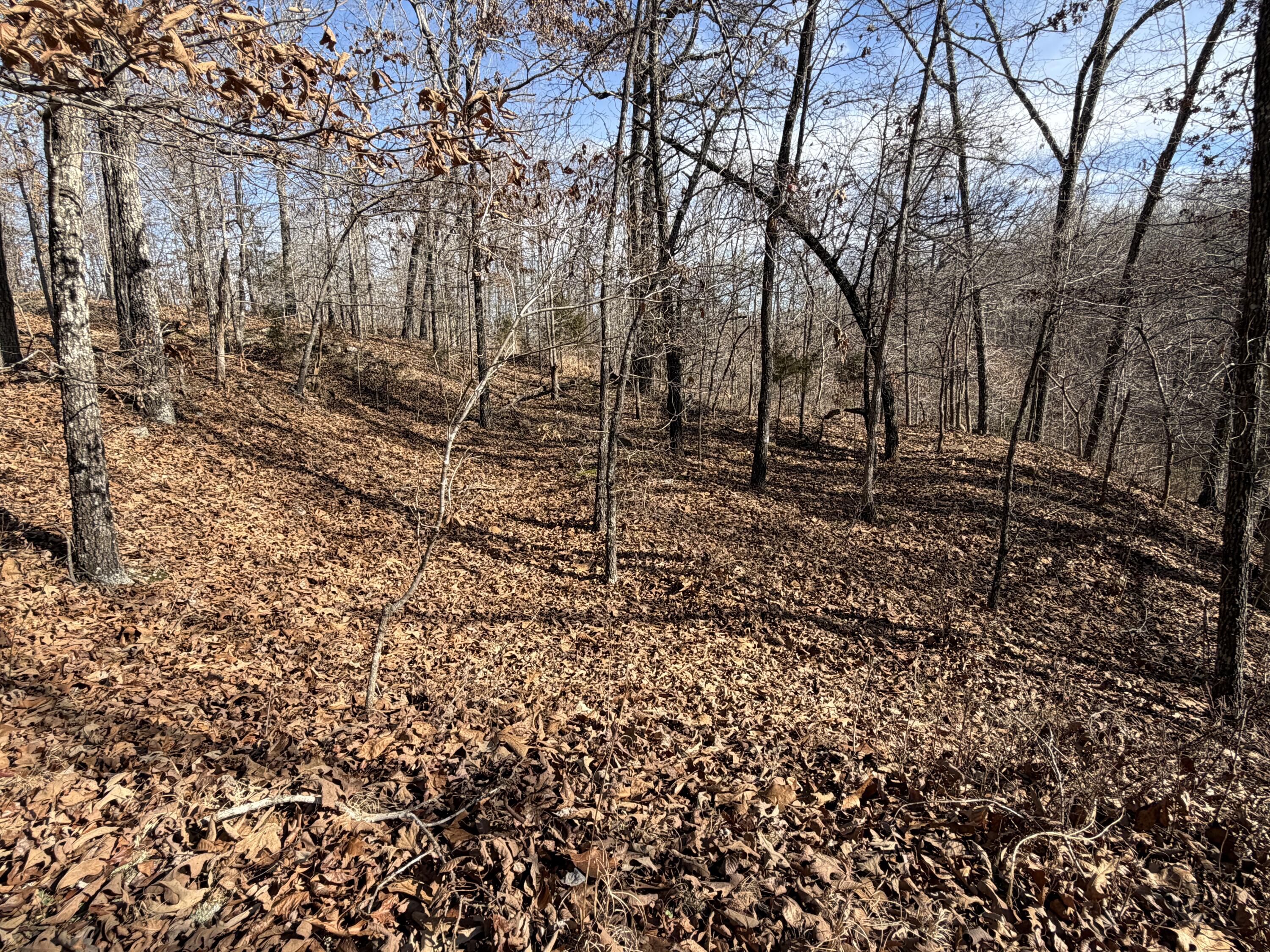000 County Rd 328 Property Photo 25