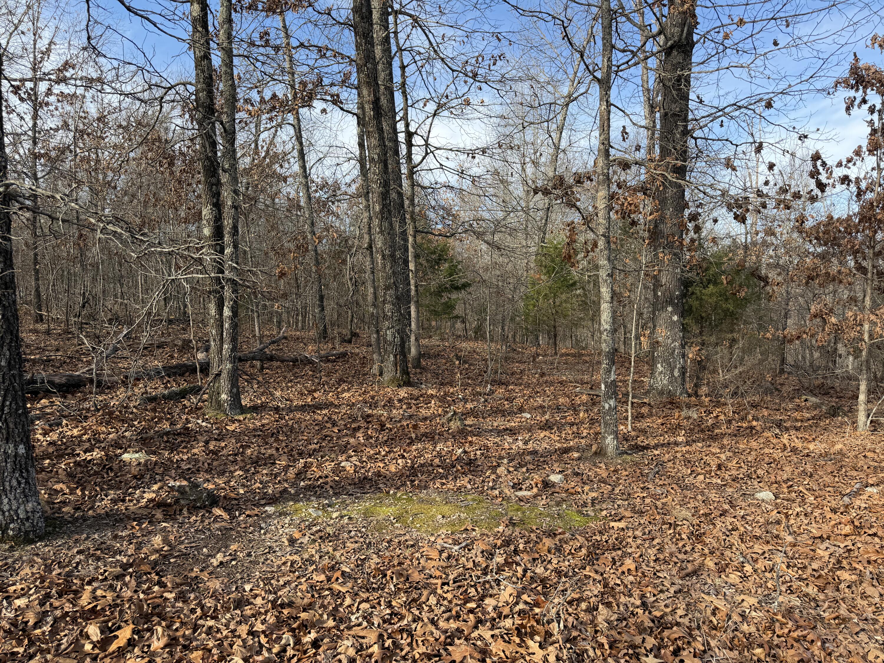 000 County Rd 328 Property Photo 26