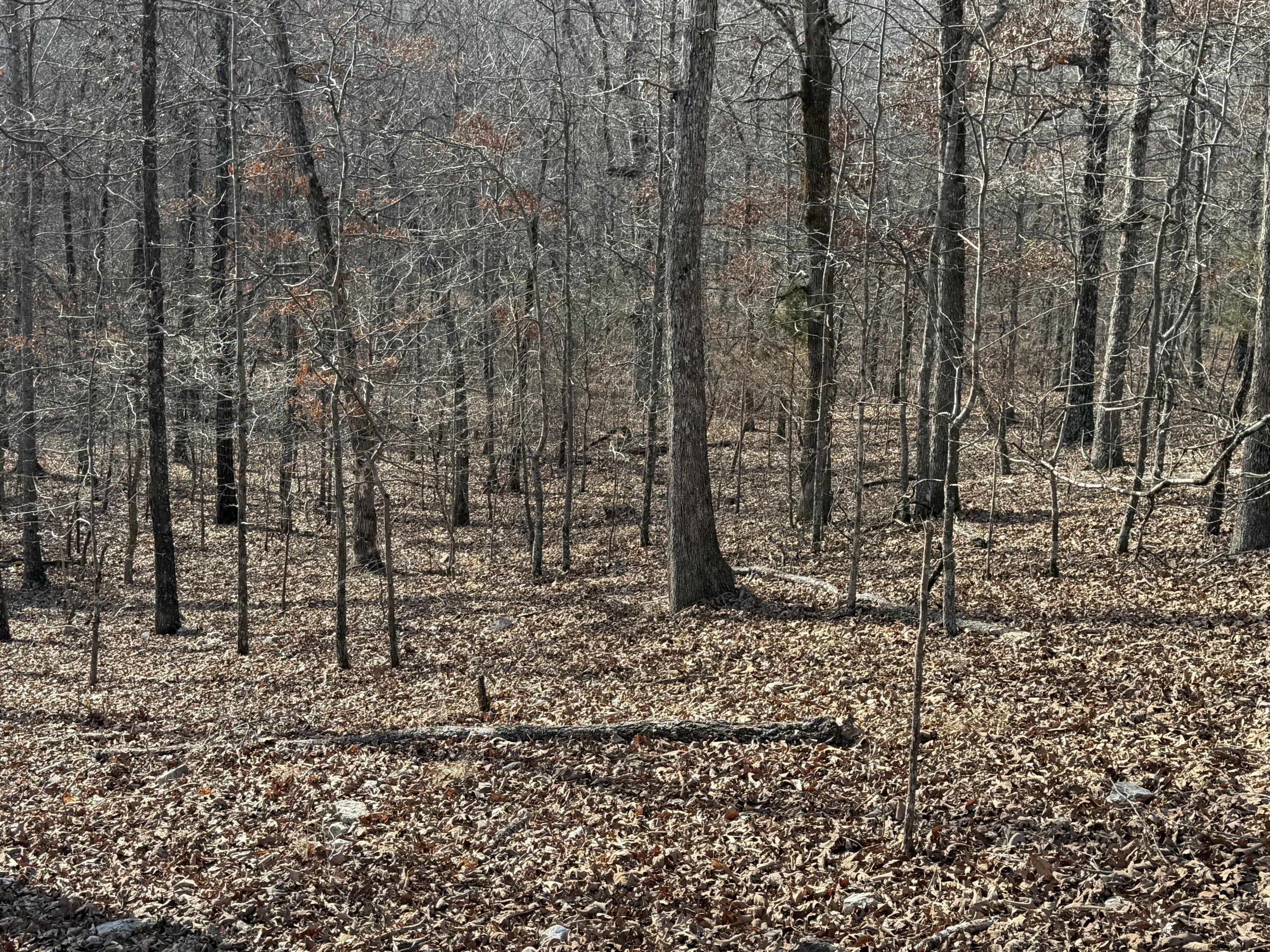 000 County Rd 328 Property Photo 28