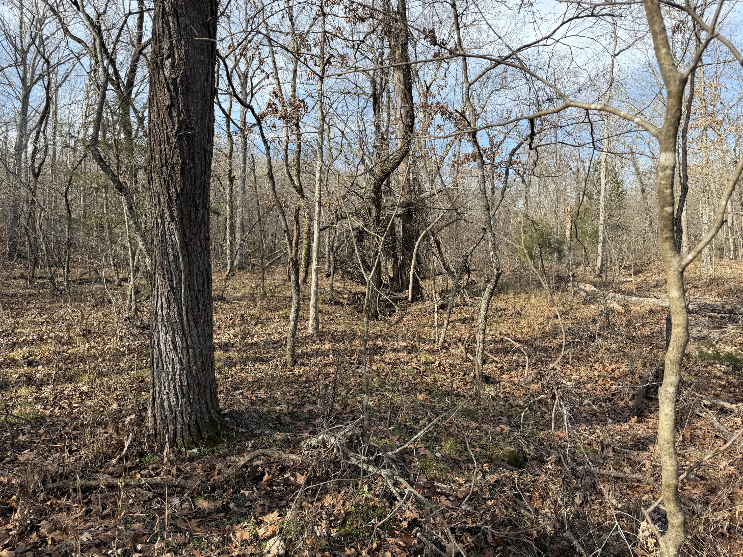 000 County Rd 328 Property Photo 35