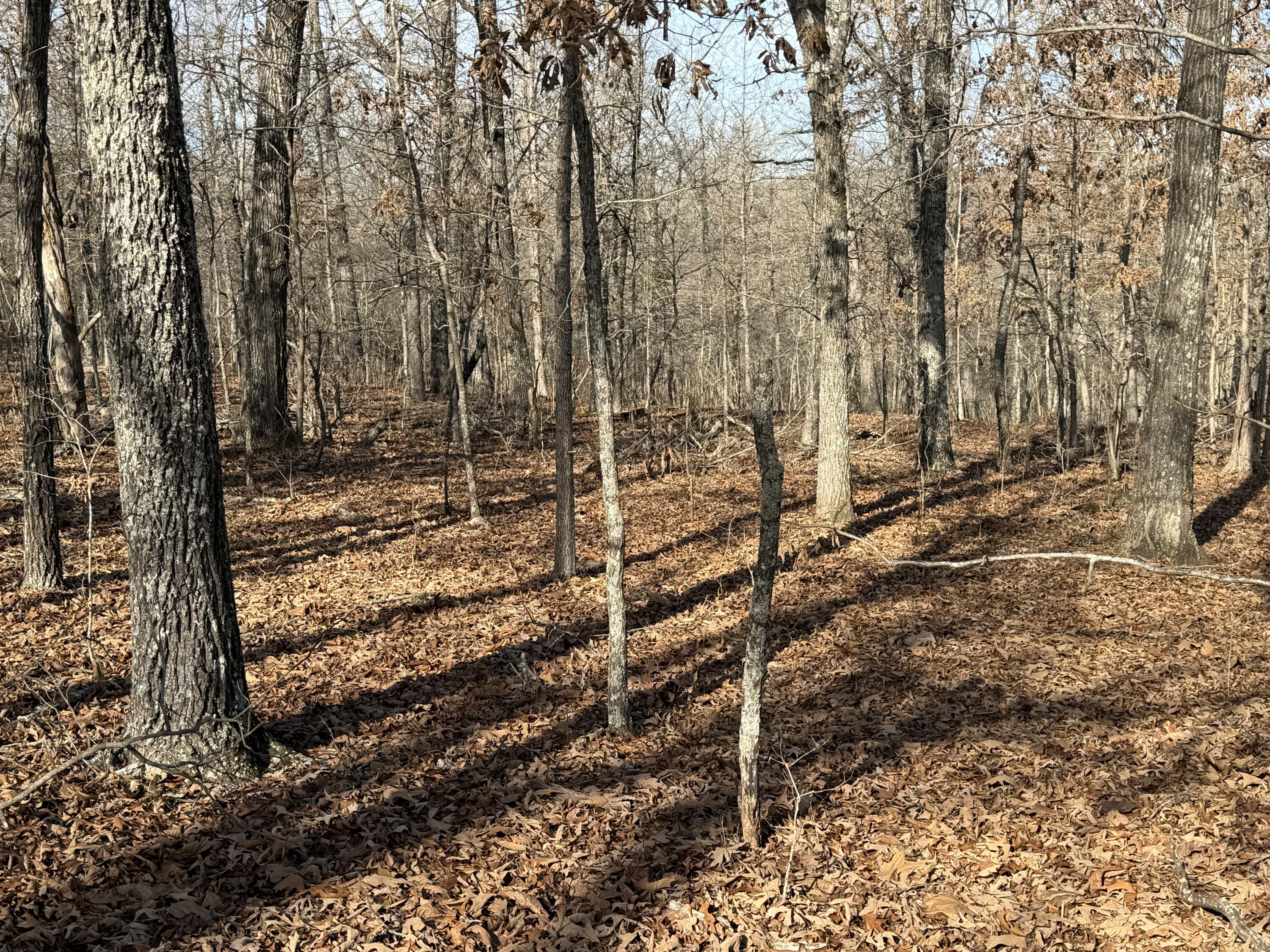 000 County Rd 328 Property Photo 39
