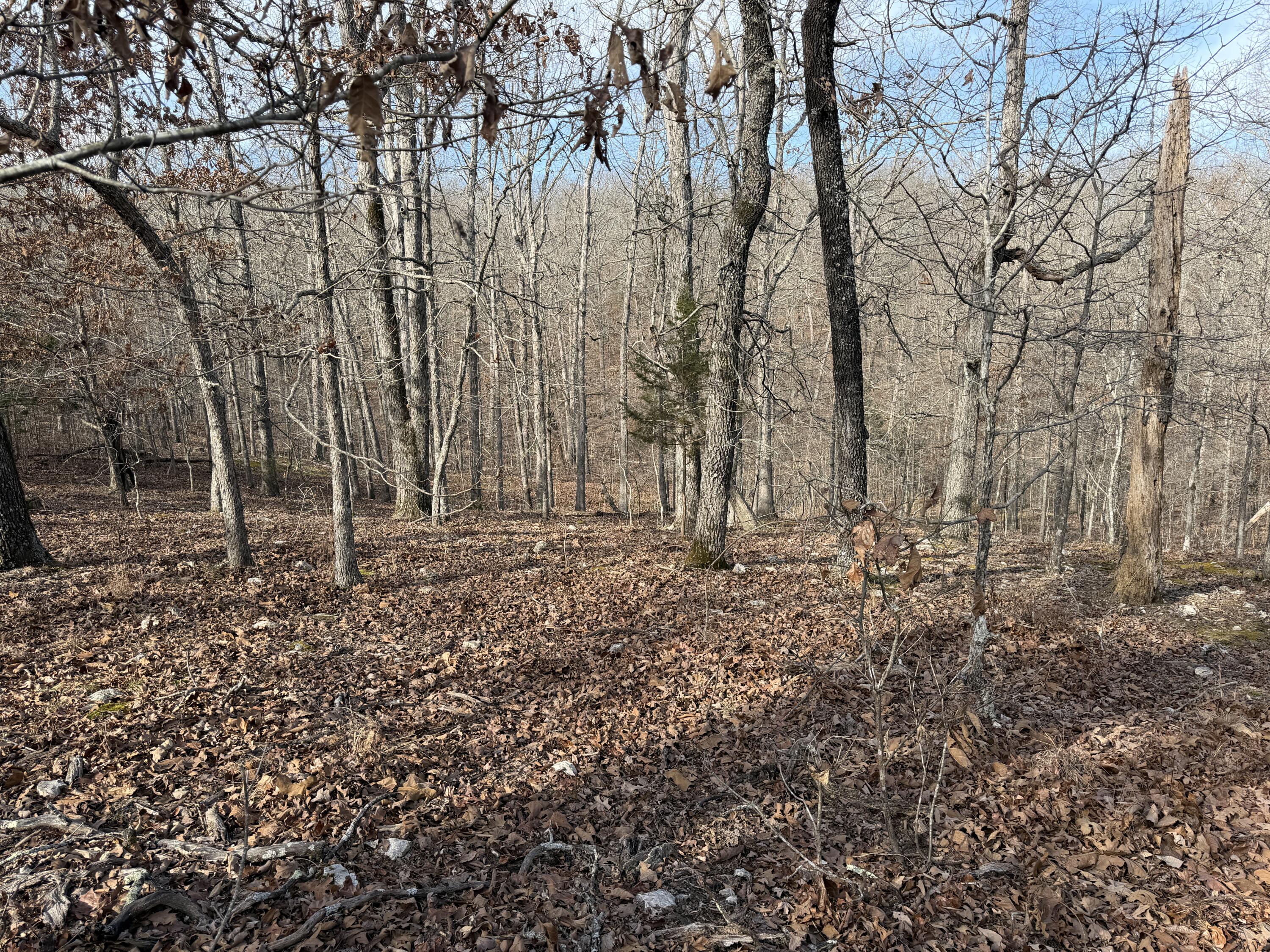 000 County Rd 328 Property Photo 57