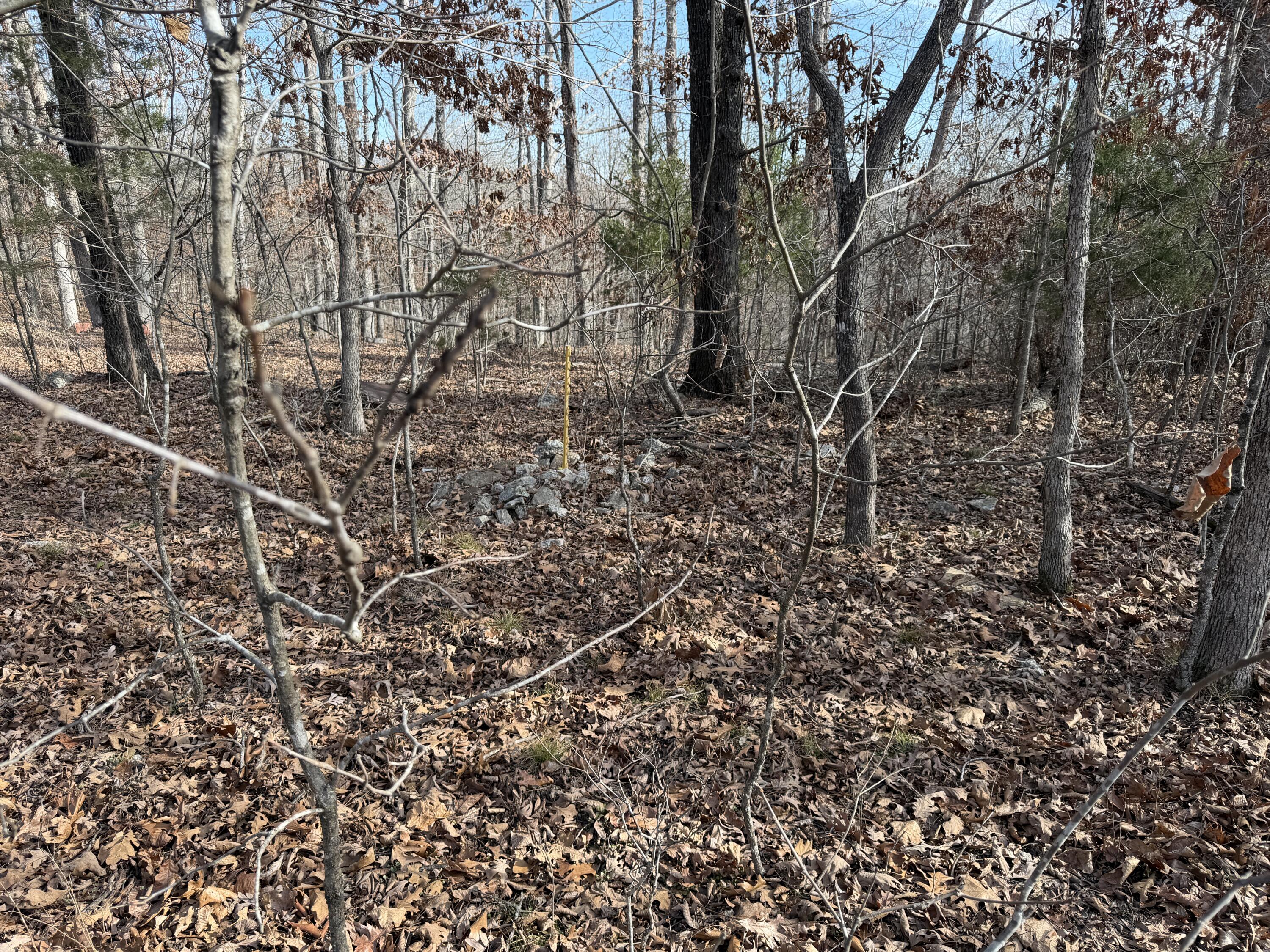 000 County Rd 328 Property Photo 67