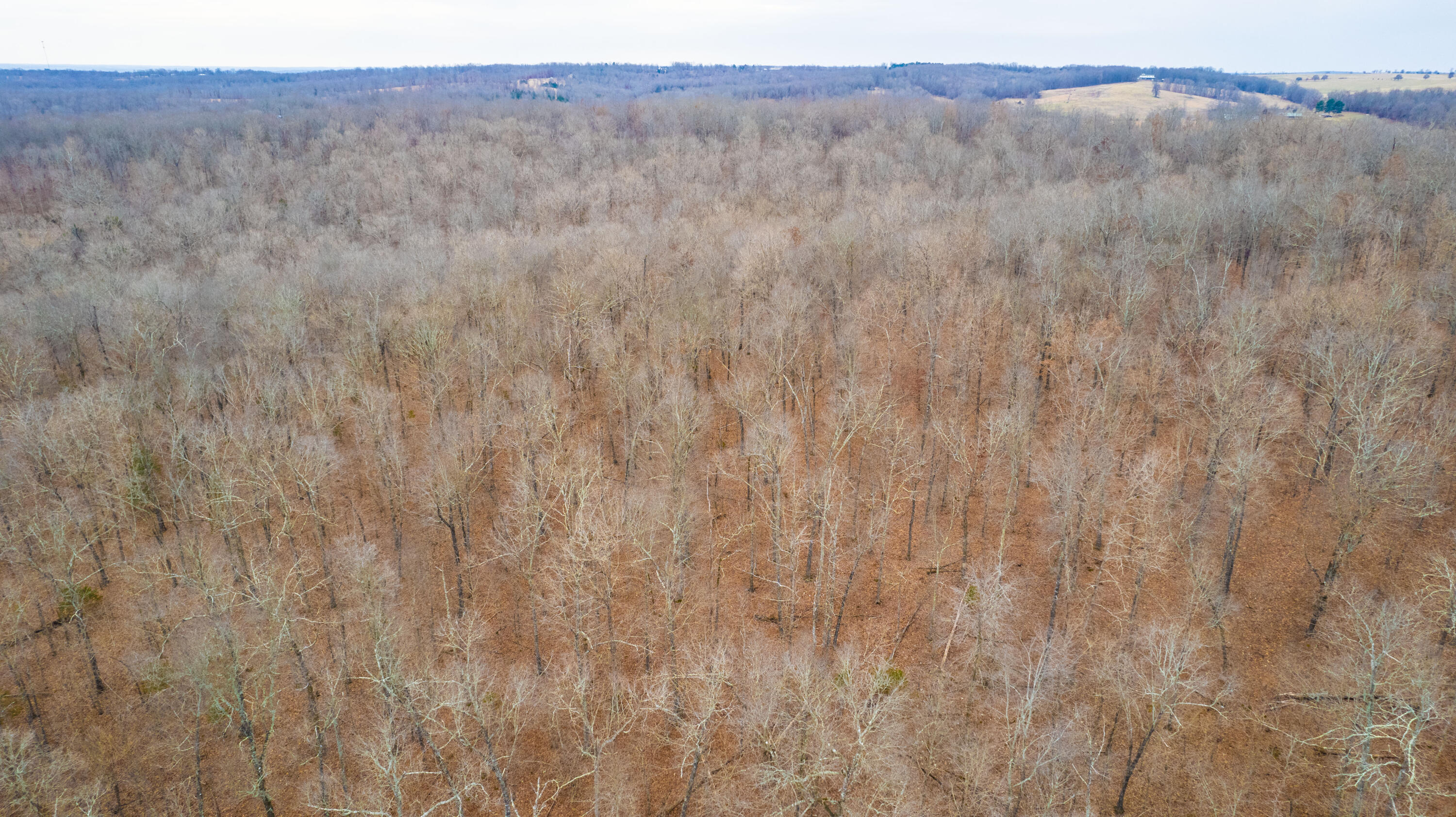 000 County Rd 328 Property Photo 86