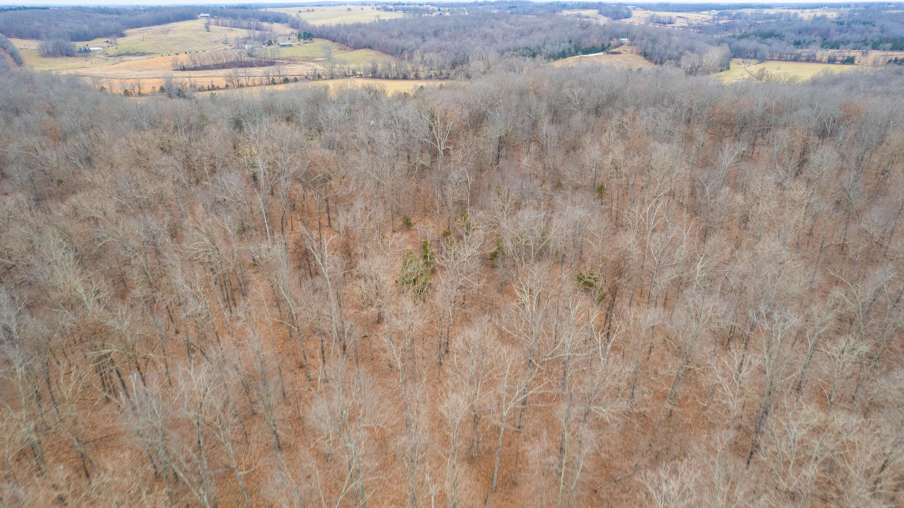 000 County Rd 328 Property Photo 88