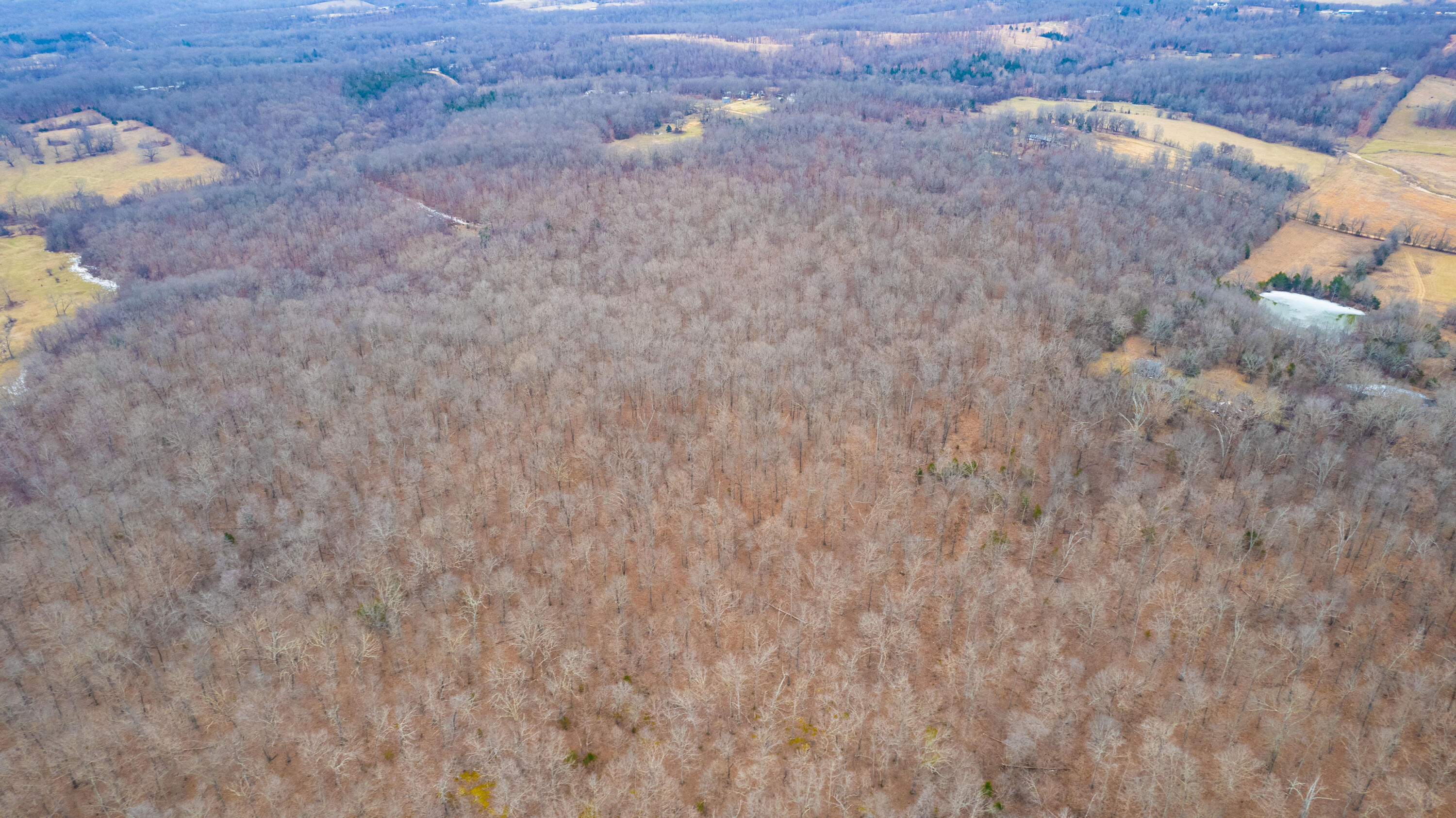 000 County Rd 328 Property Photo 89