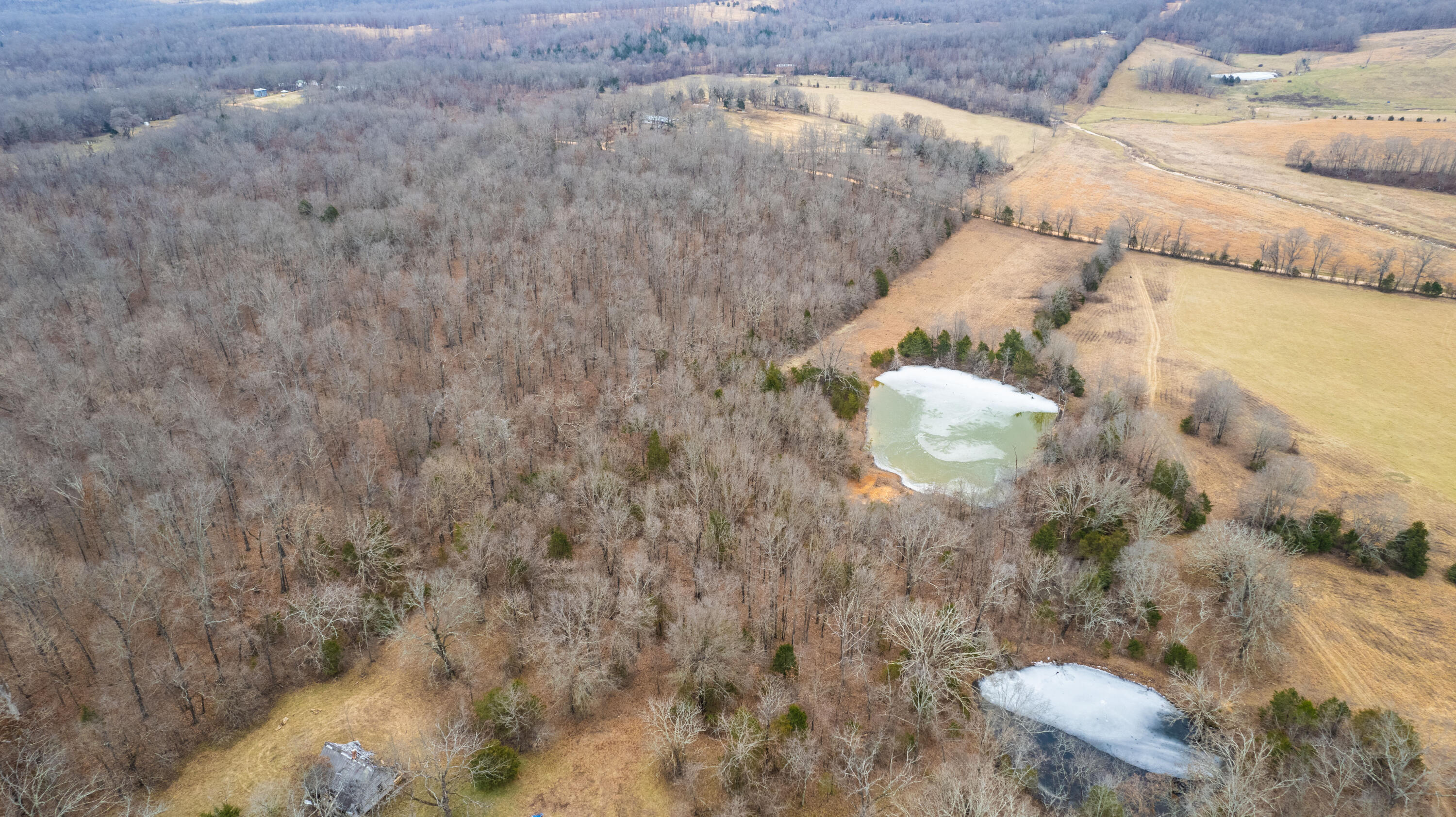 000 County Rd 328 Property Photo 93
