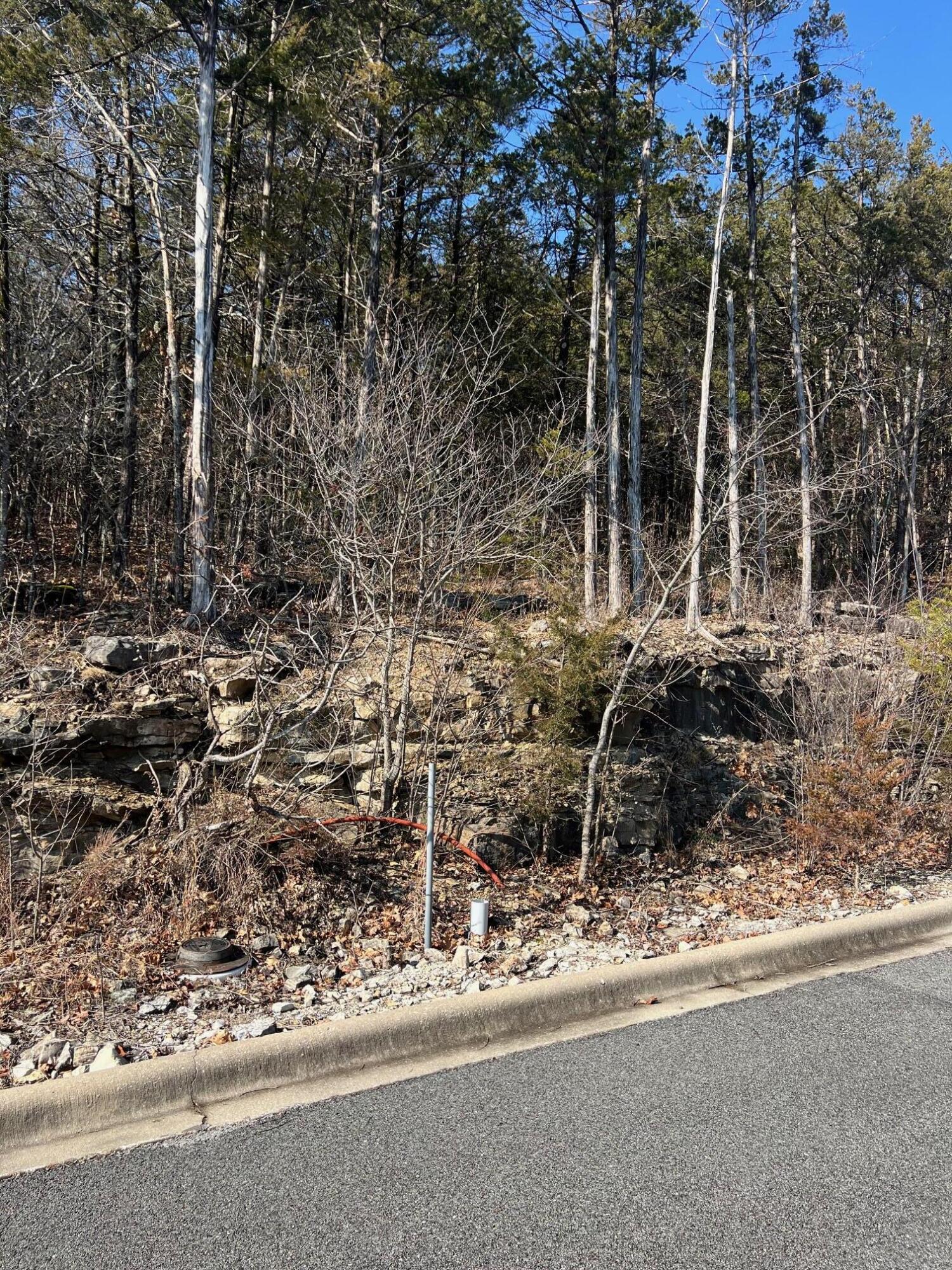 Tbd East Sharay Circle Property Photo 3