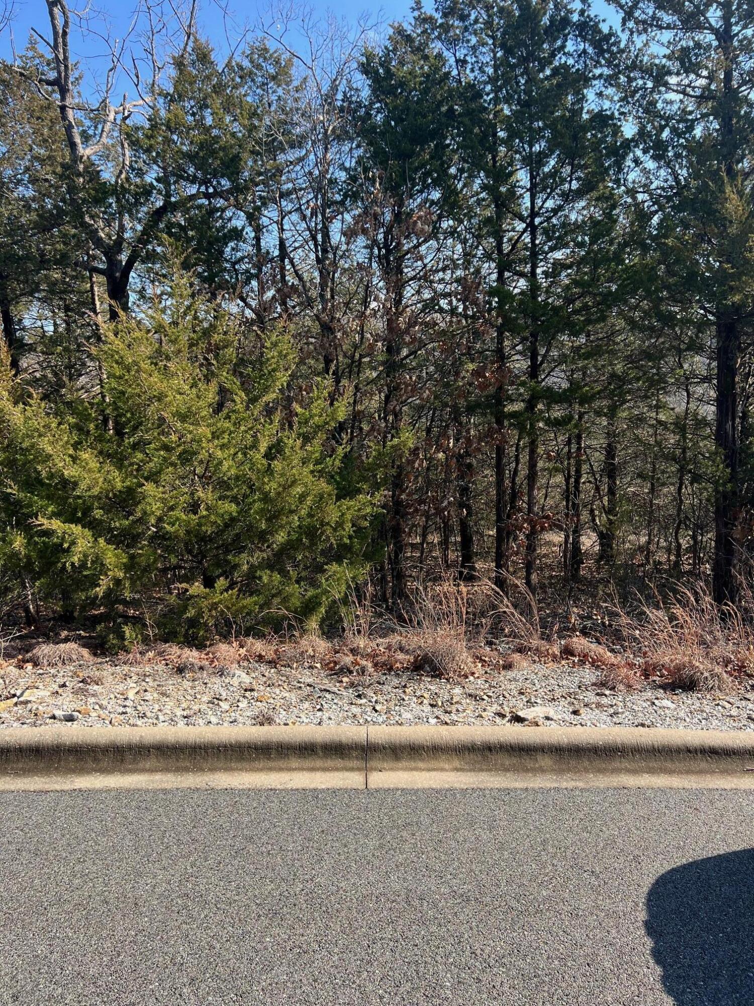 Tbd East Sharay Circle Property Photo 8