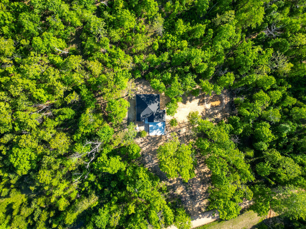 14220 Dunklin Road Property Photo 5