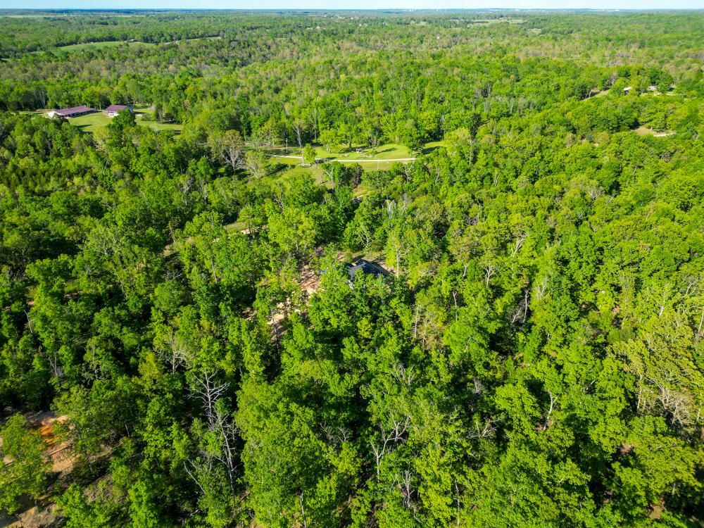 14220 Dunklin Road Property Photo 34