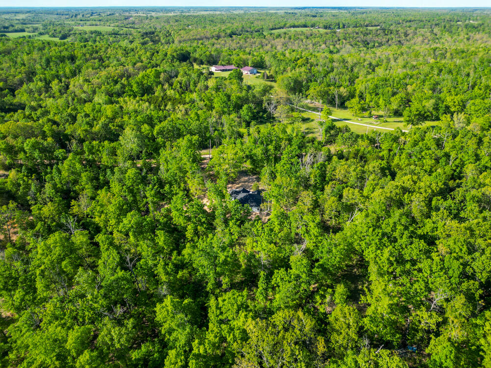14220 Dunklin Road Property Photo 35