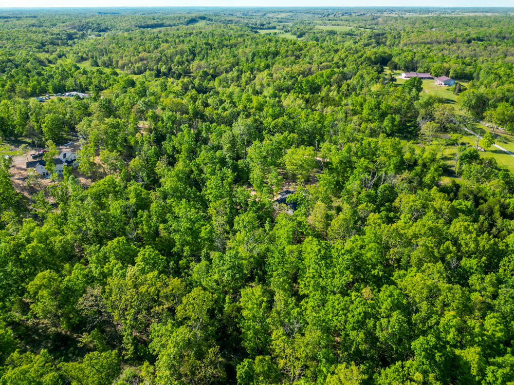 14220 Dunklin Road Property Photo 36