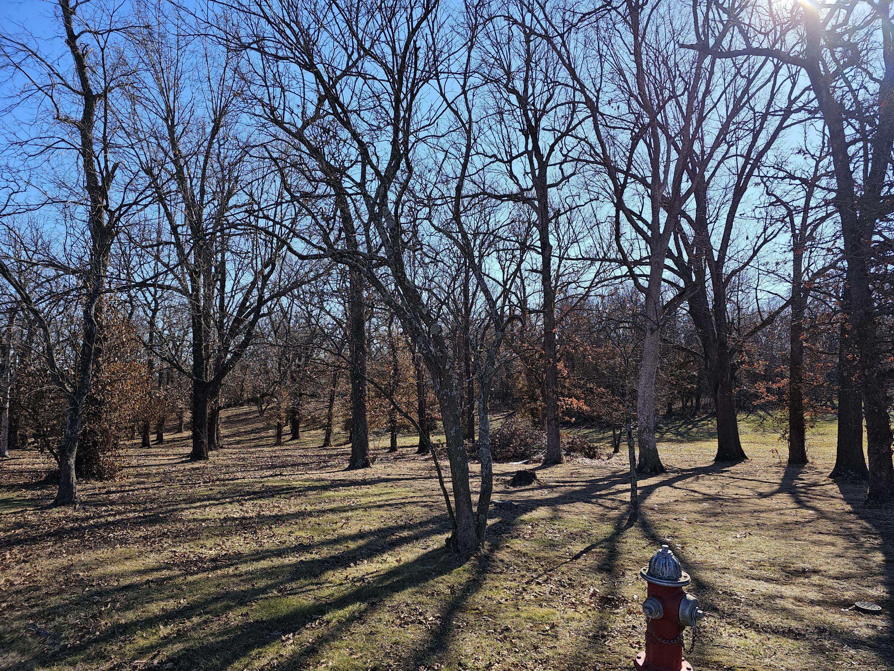 000 Redbud Place Property Photo 1