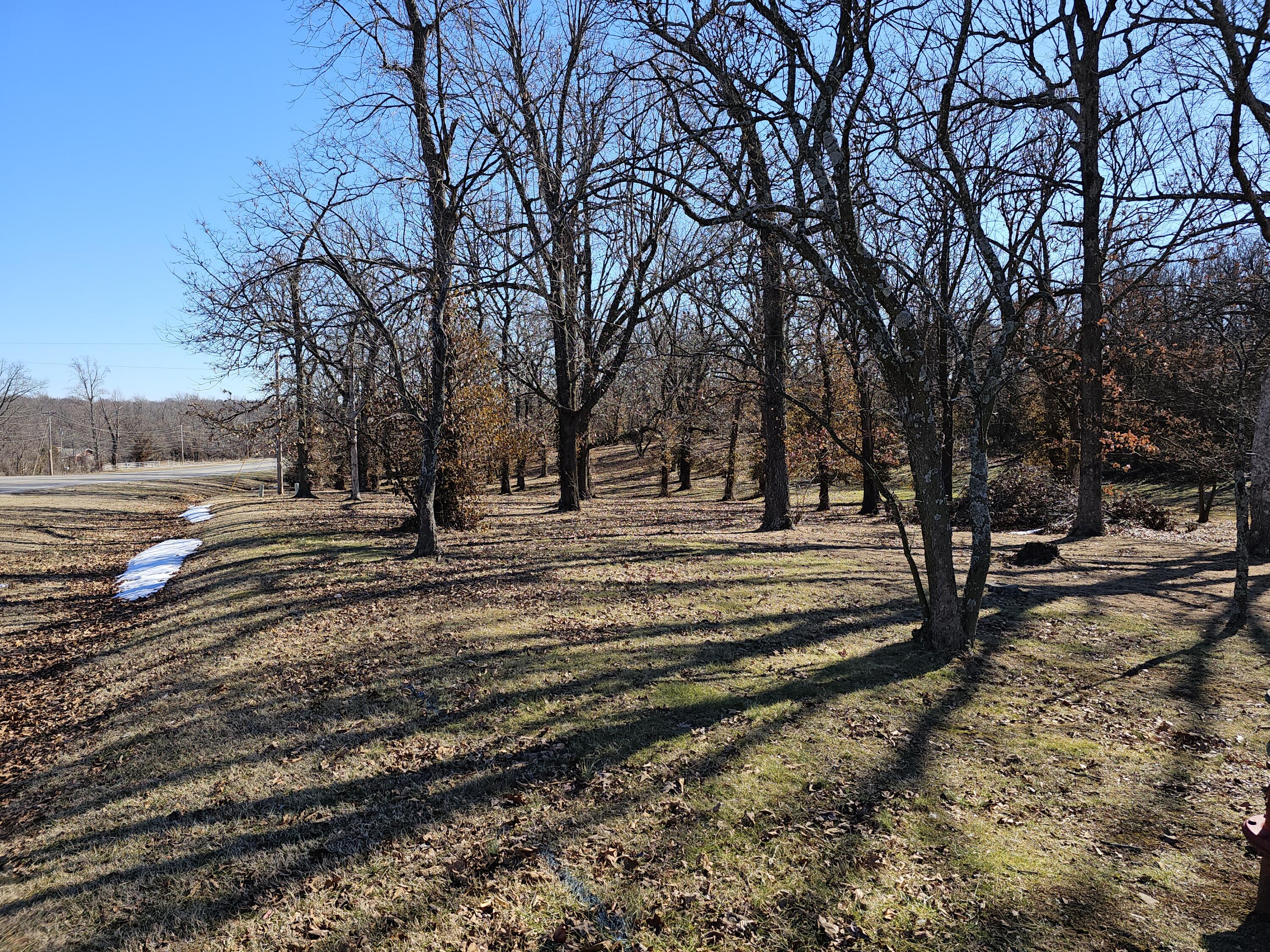 000 Redbud Place Property Photo 3