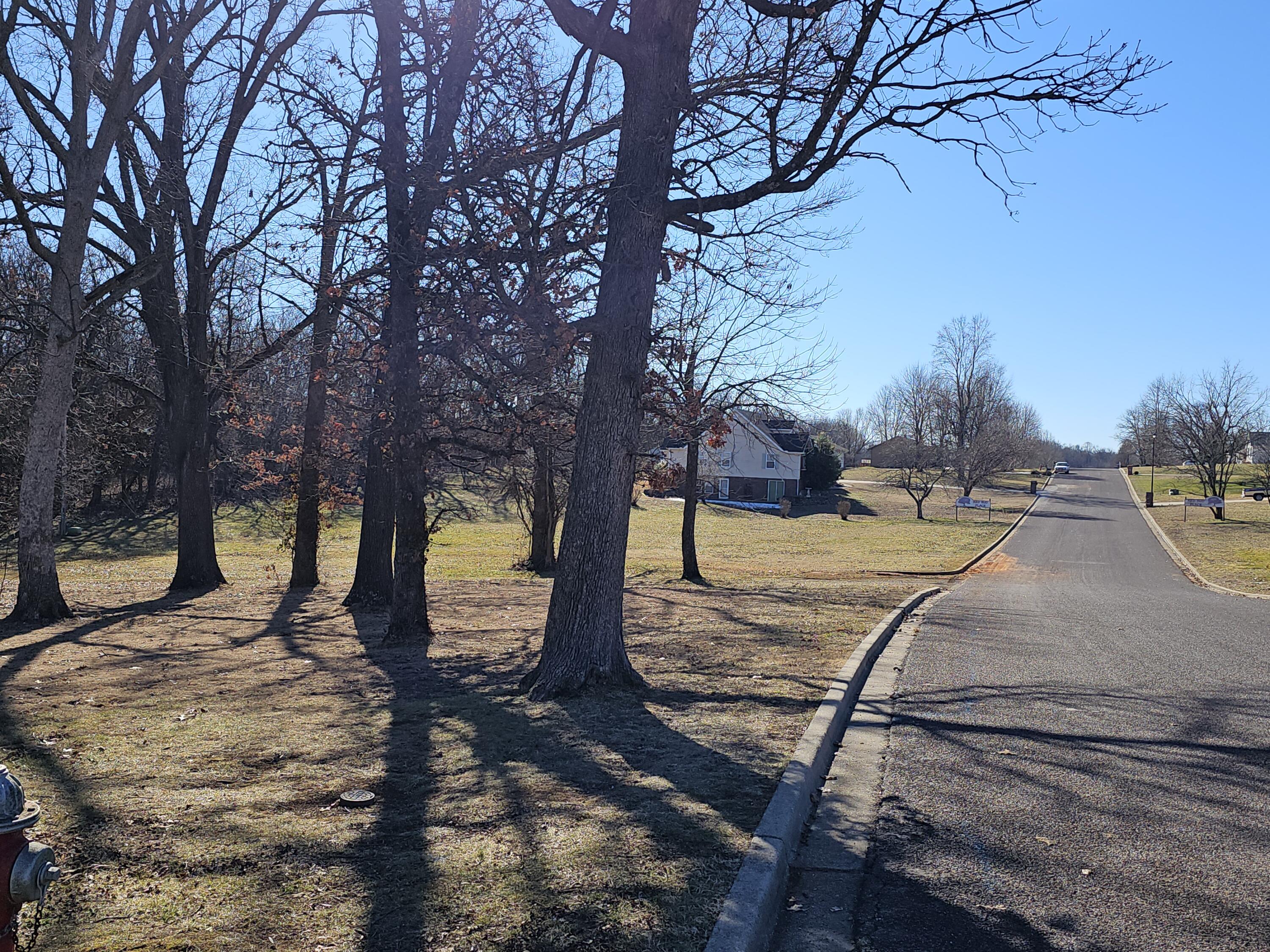 000 Redbud Place Property Photo 4