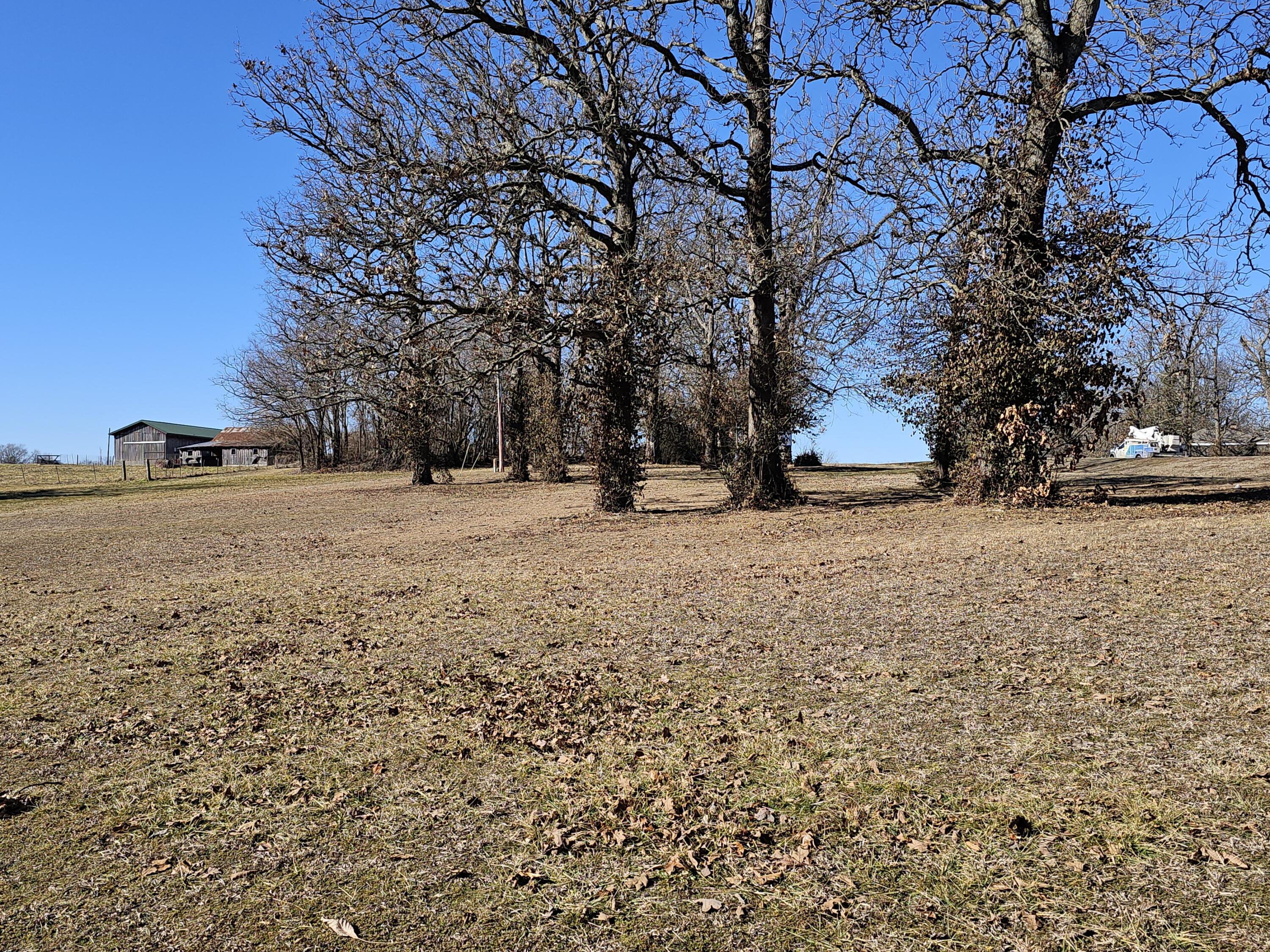 000 Redbud Place Property Photo 8