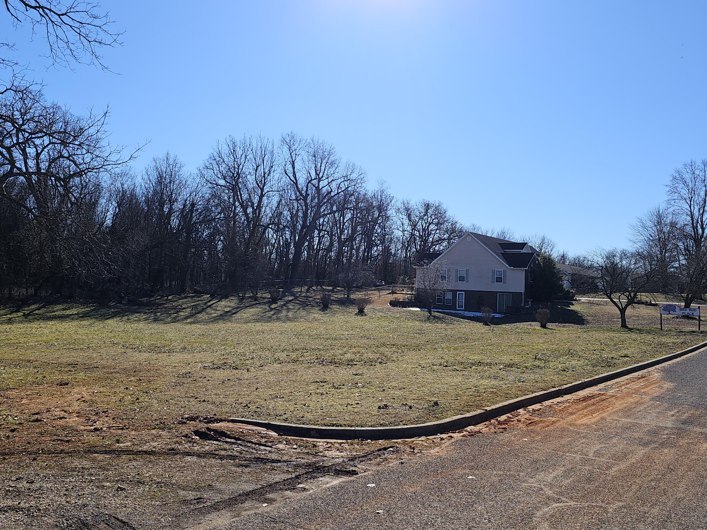 000 Redbud Place Property Photo 12