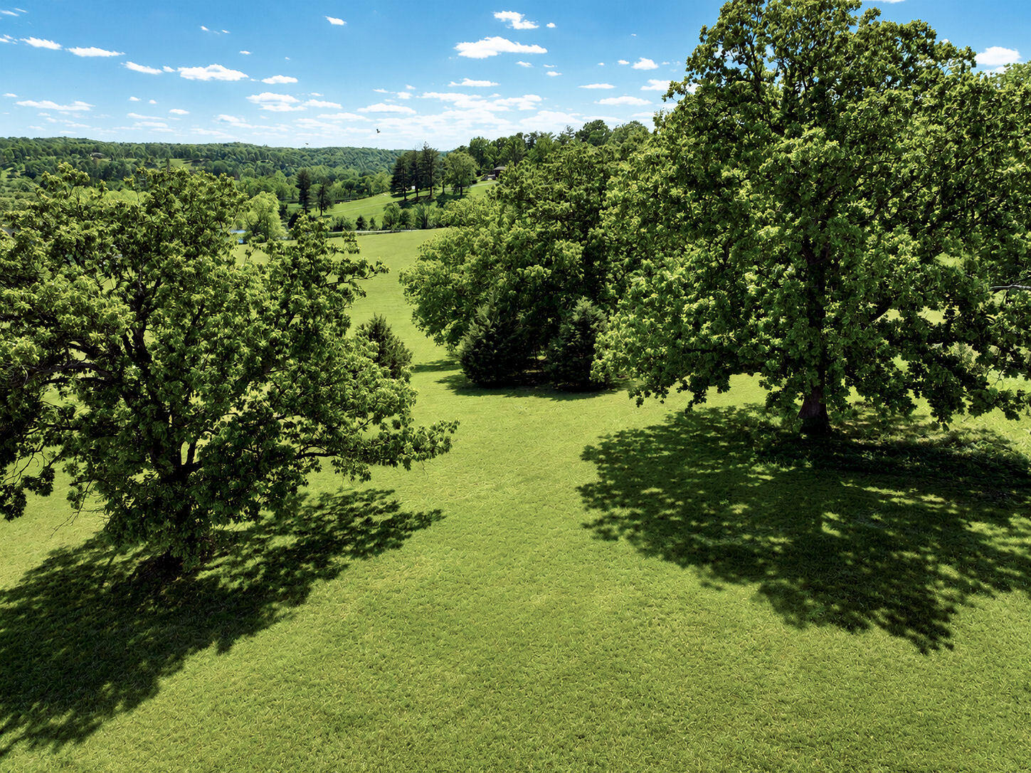 Lot #2 Lone Star Drive Property Photo 3