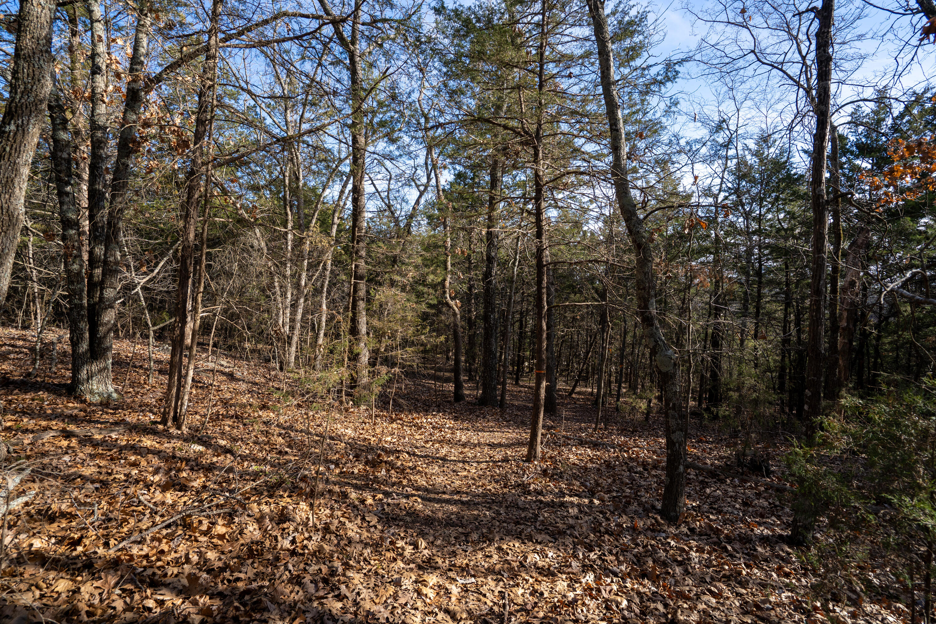 365 Majestic Drive Property Photo 39
