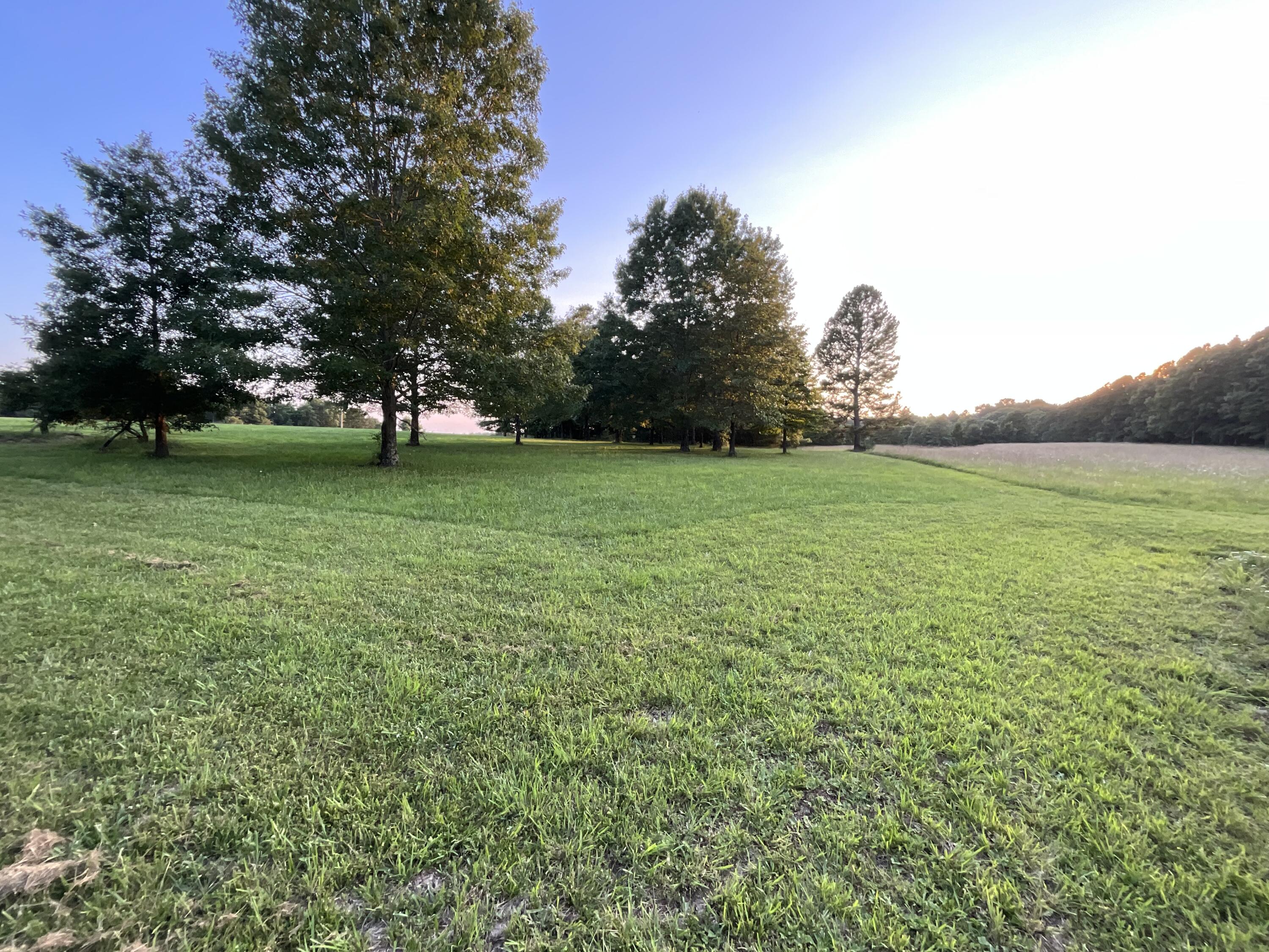 19056 County Road 427 Property Photo 65