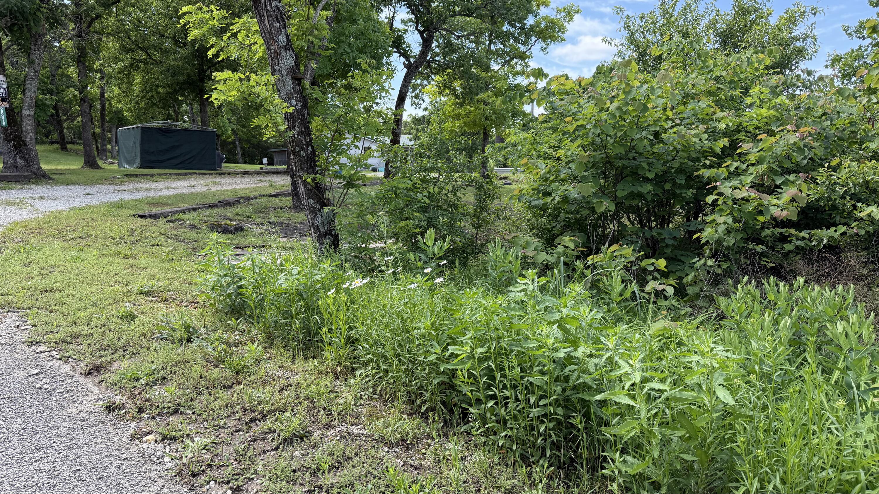 26876 Farm Rd 1170 Property Photo 37