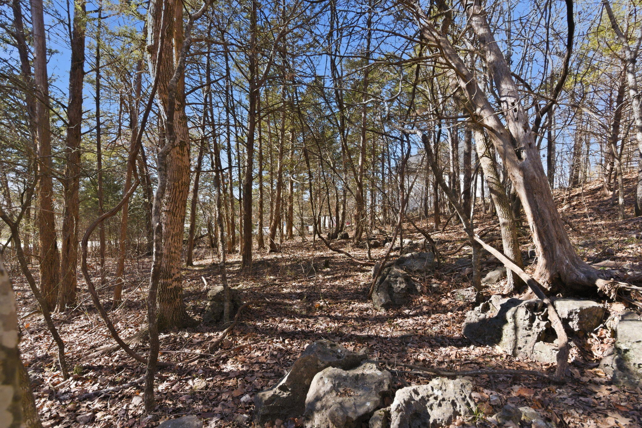 Lot 24 Spring Court Property Photo 7