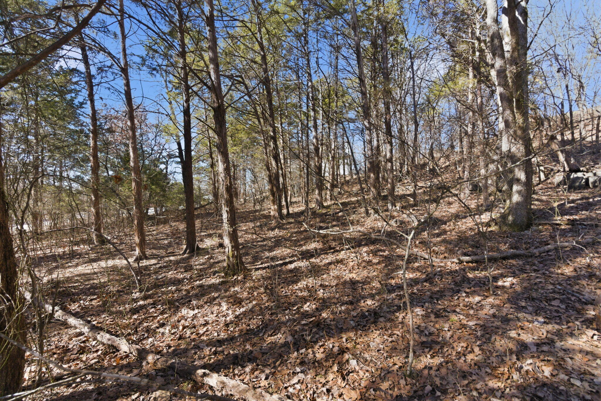 Lot 24 Spring Court Property Photo 8