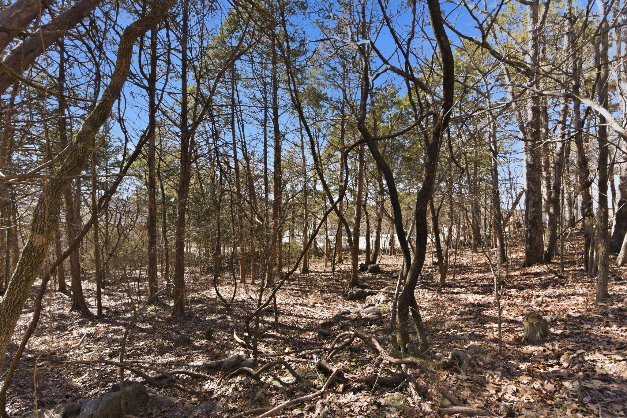 Lot 24 Spring Court Property Photo 9
