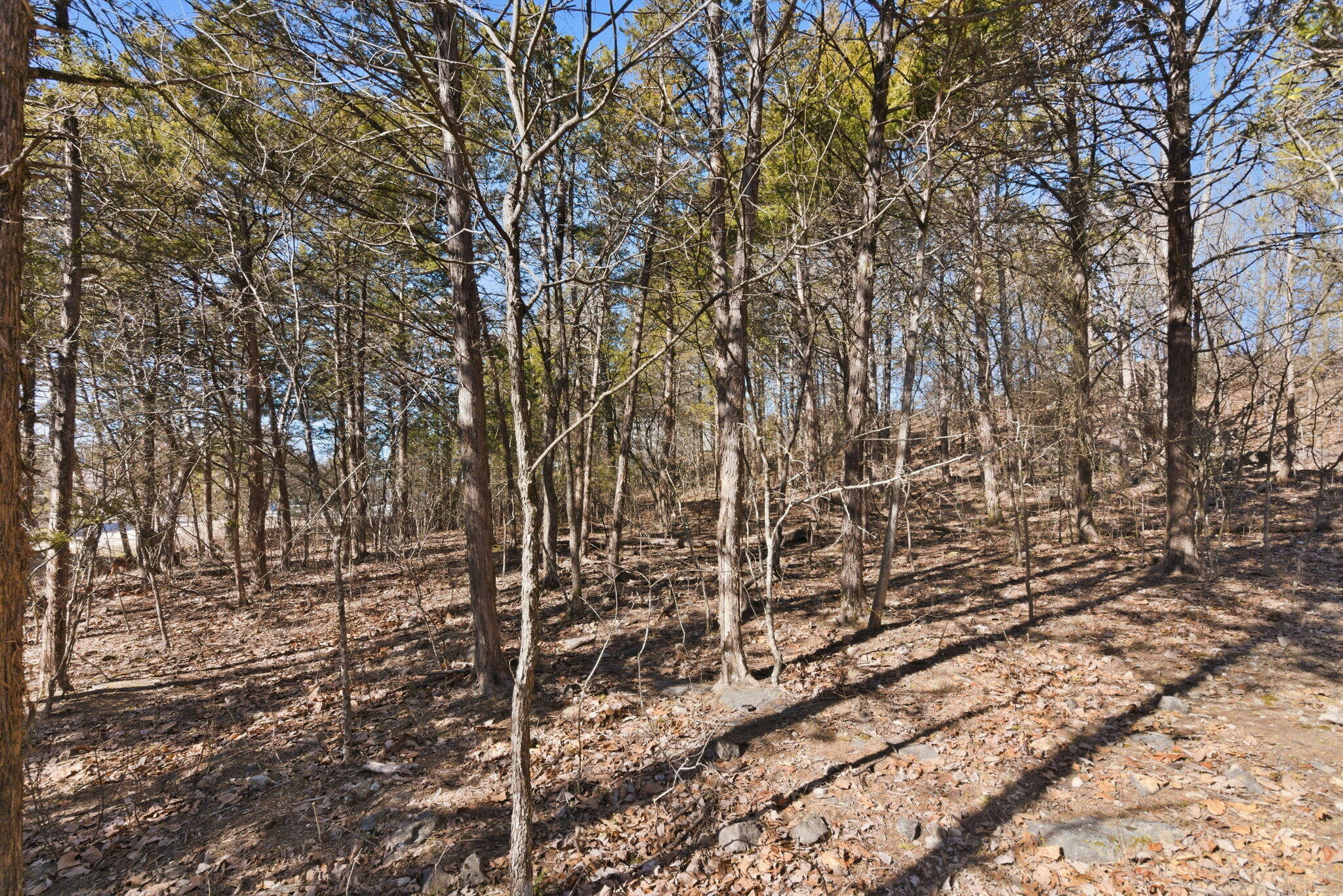 Lot 24 Spring Court Property Photo 10