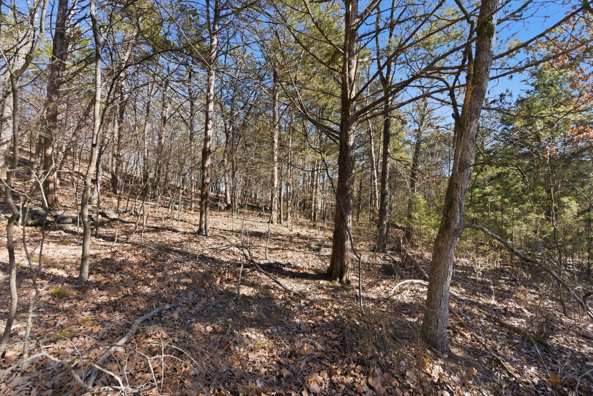 Lot 24 Spring Court Property Photo 11
