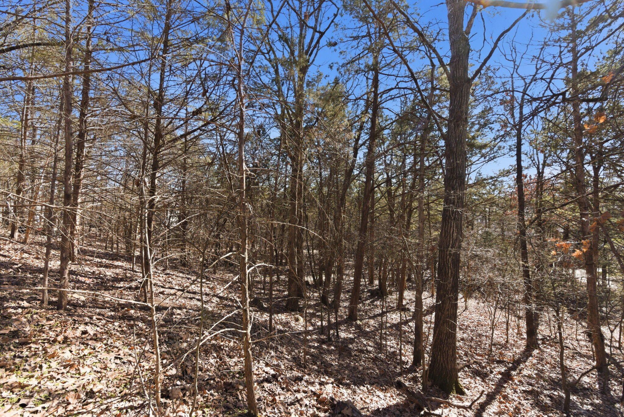 Lot 24 Spring Court Property Photo 12