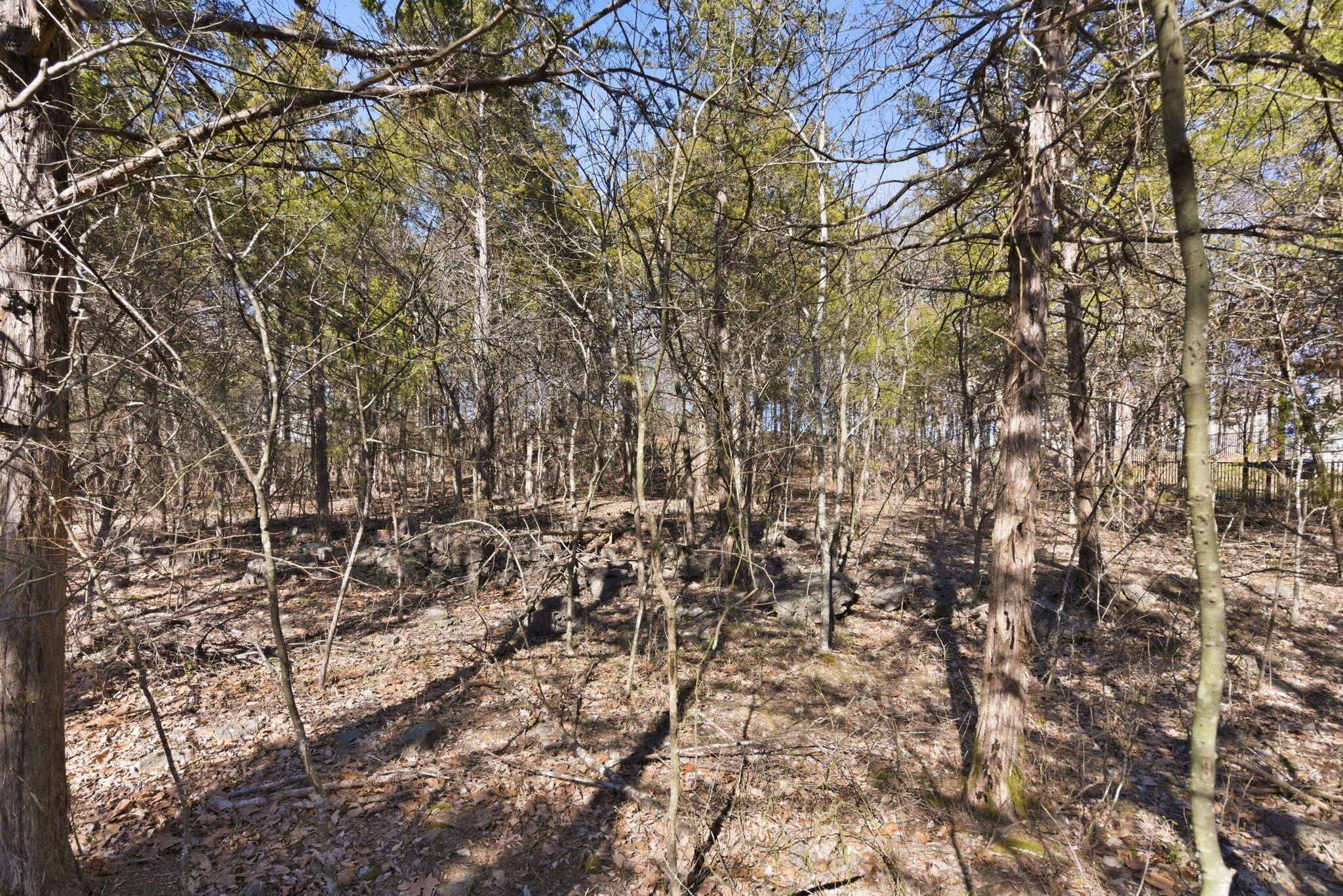 Lot 24 Spring Court Property Photo 14