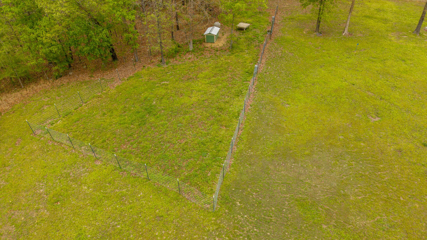 312 Earl Street Property Photo 46