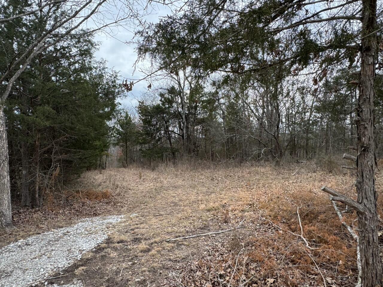 85-ac Burmingham Road Property Photo 5