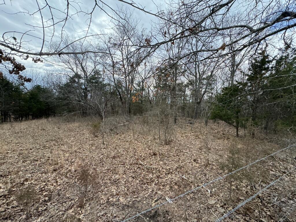85-ac Burmingham Road Property Photo 6