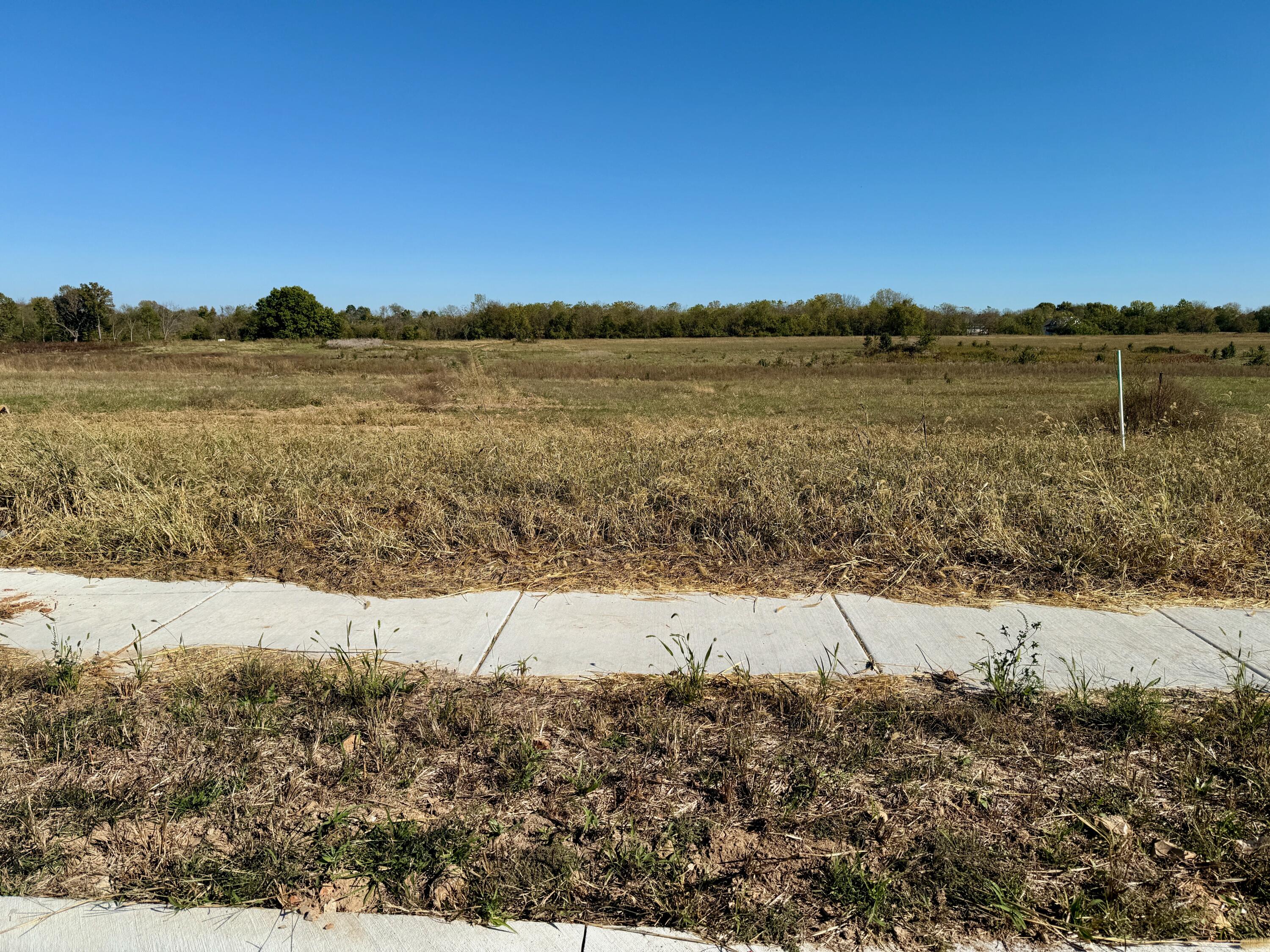 1892 East Vicksburg Property Photo 6