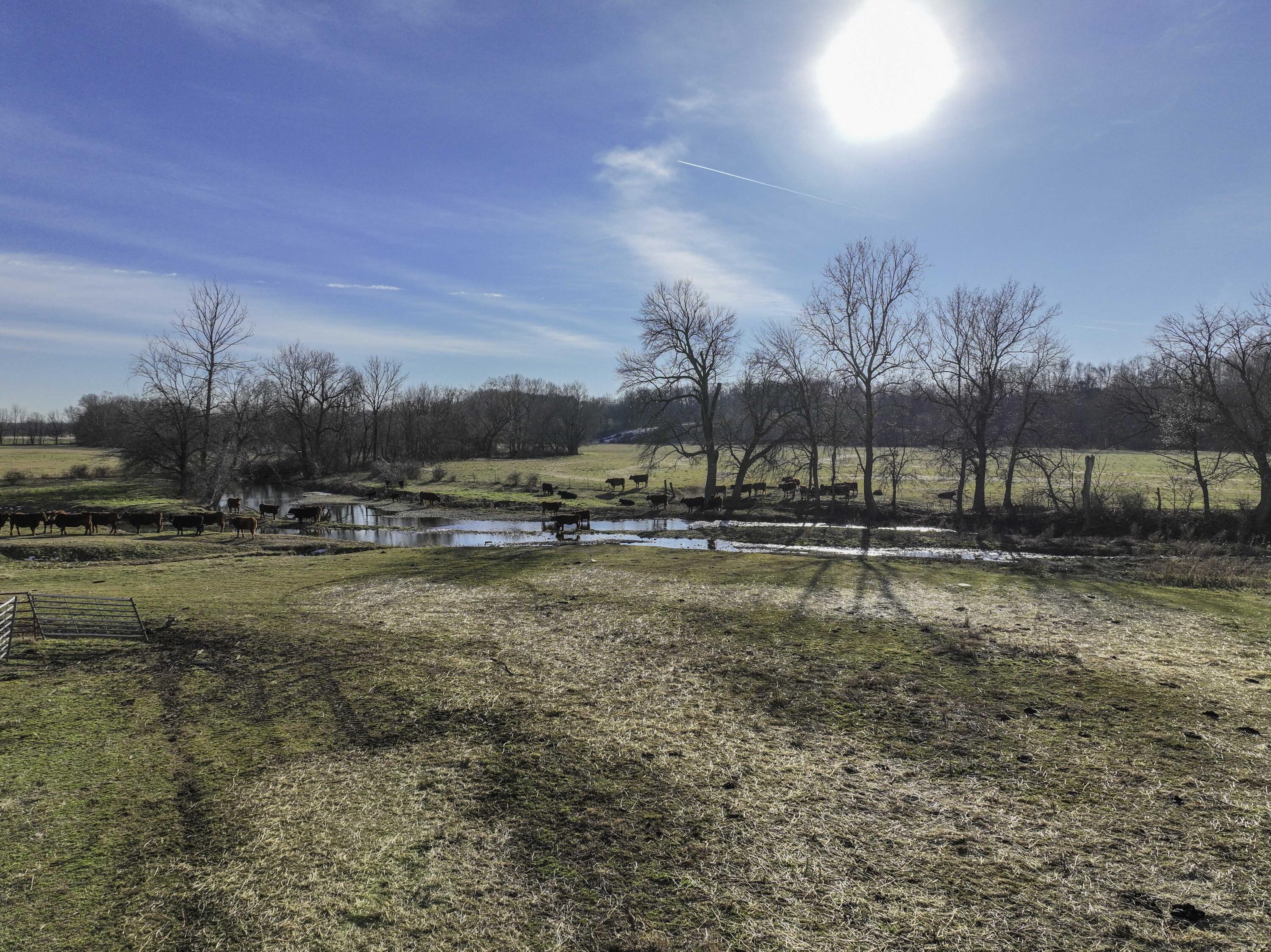 4028 State Highway West Property Photo 9