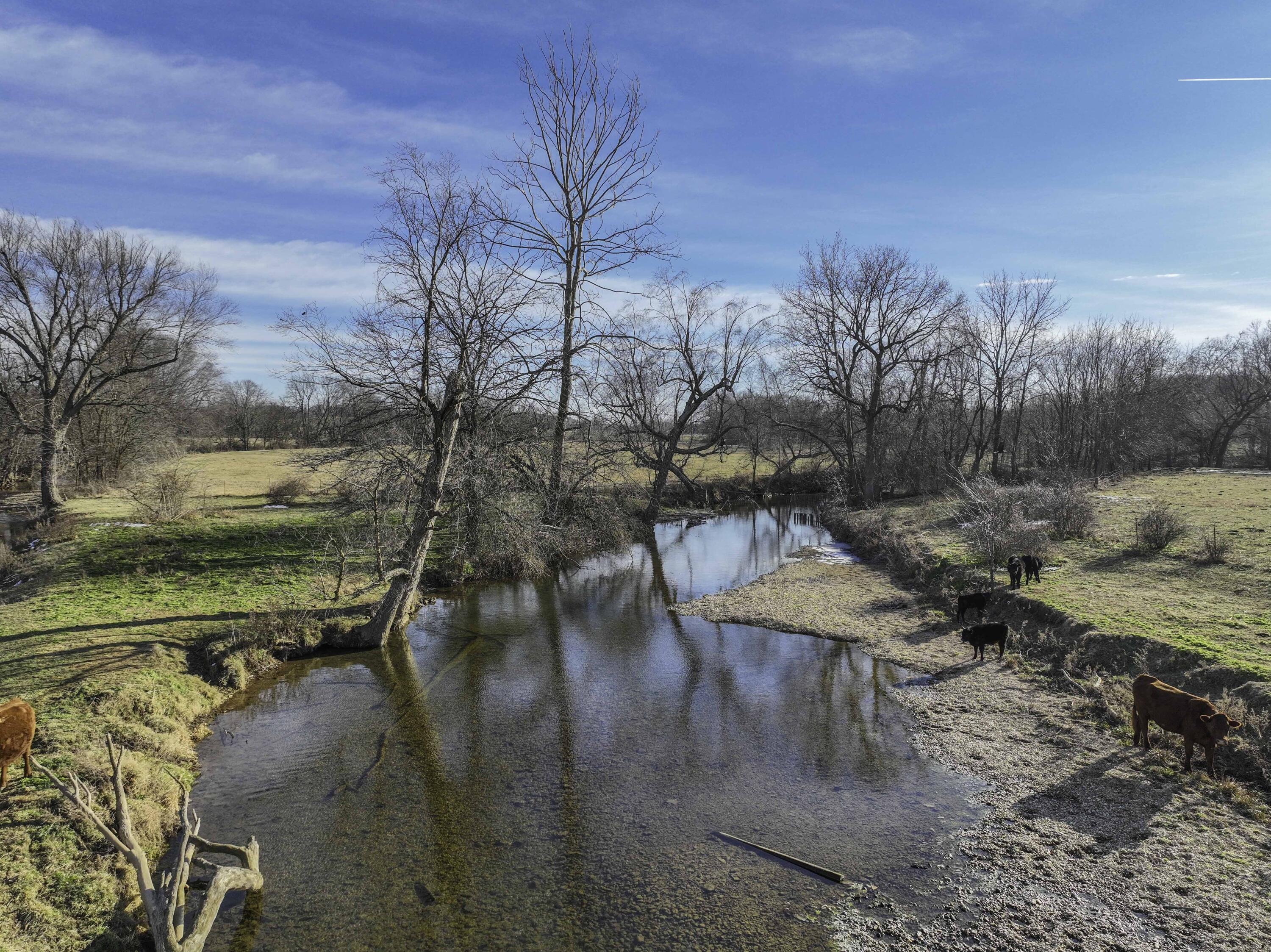 4028 State Highway West Property Photo 10