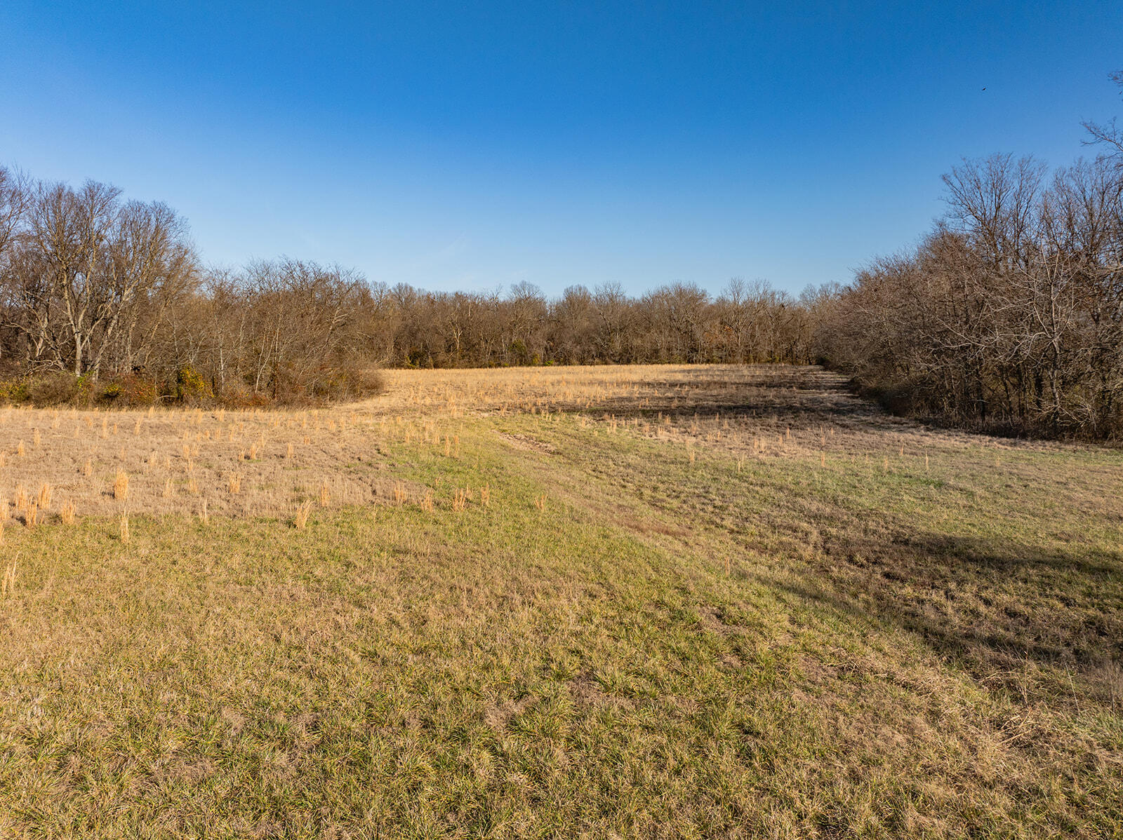 000 Farm Road 148 Property Photo 10